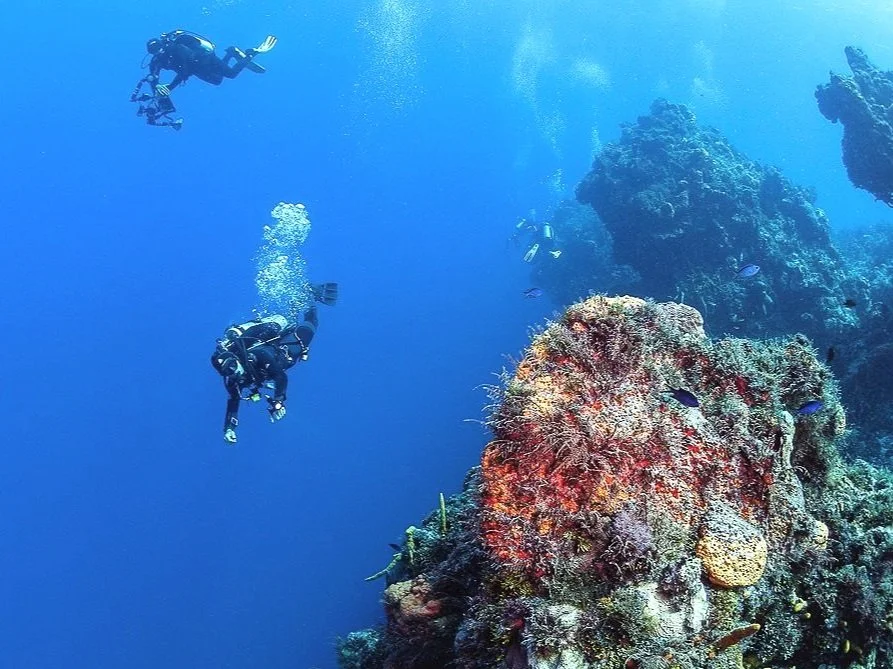 Scuba Diving Santa Rosa Wall, Cozumel, mexico