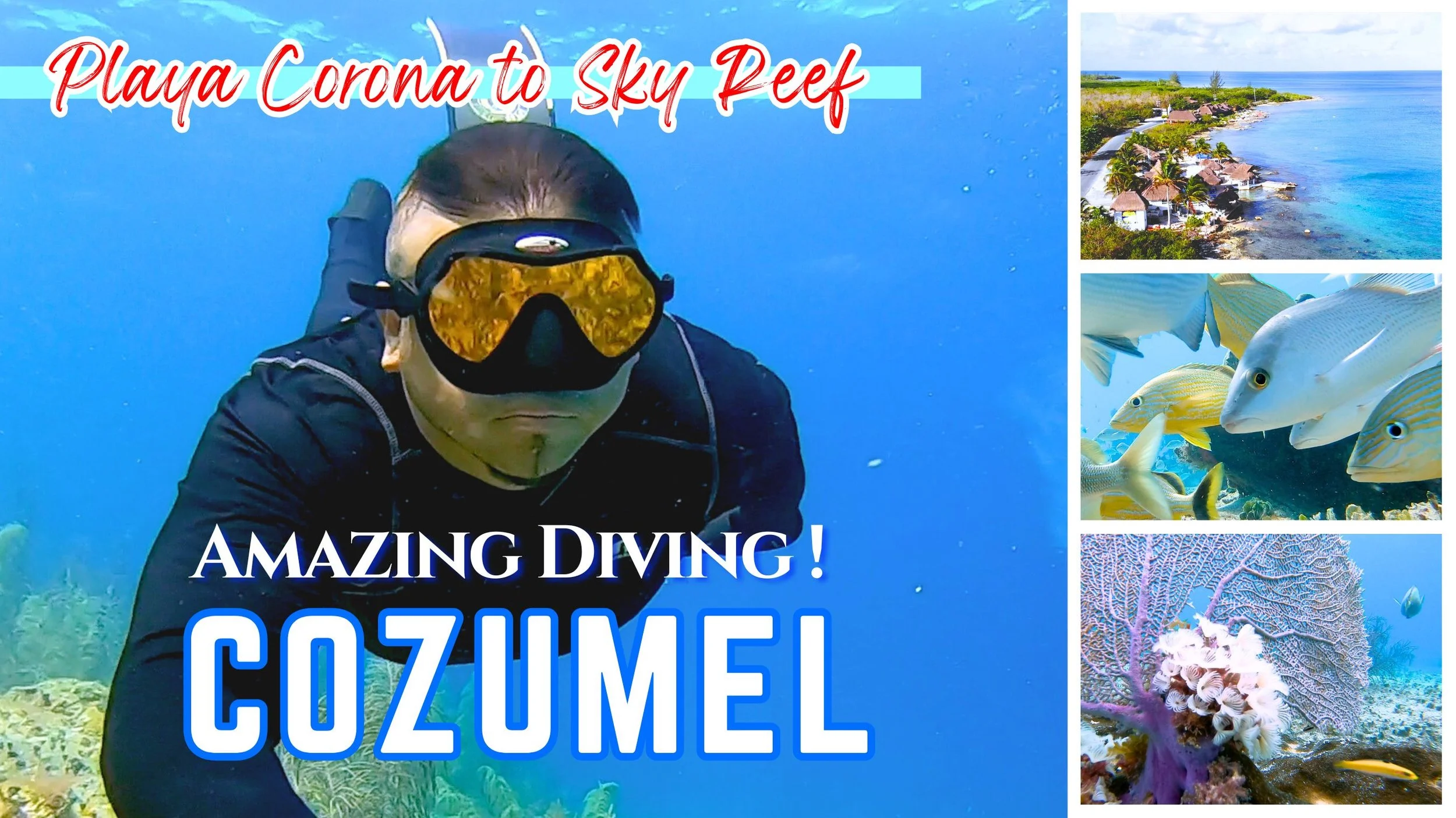 Amazing Diving Cozumel