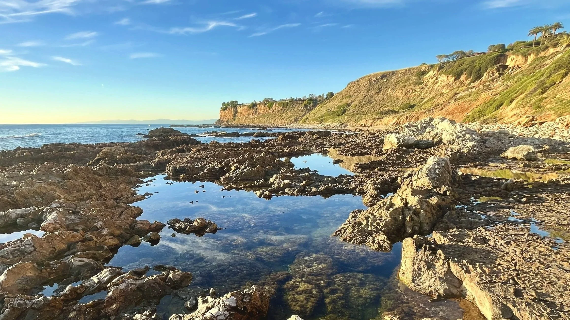 Tide Pools of Christmas Tree Cove, Palos Verdes