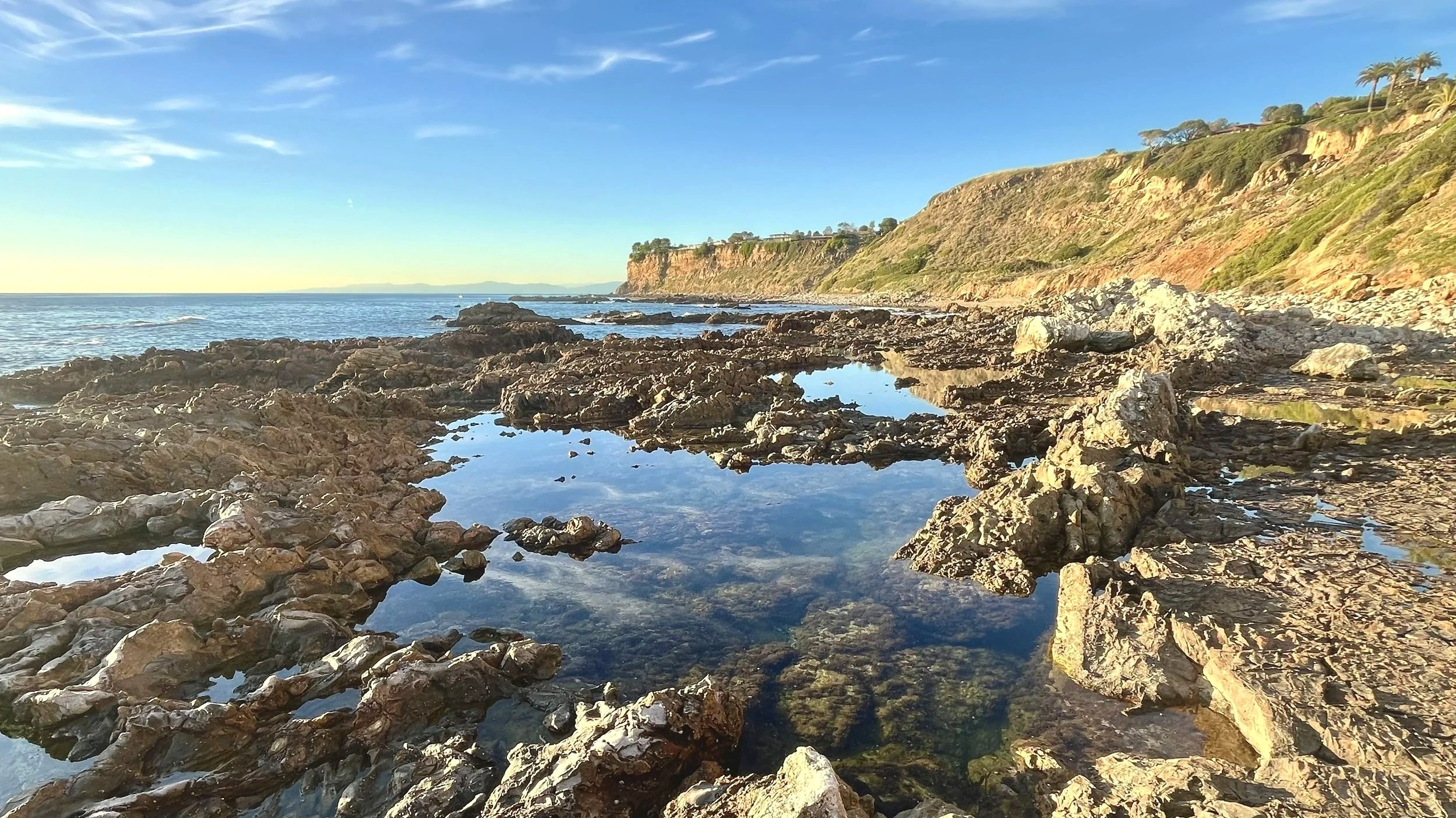 Christmas Tree Cove tide pools of Palos Verdes