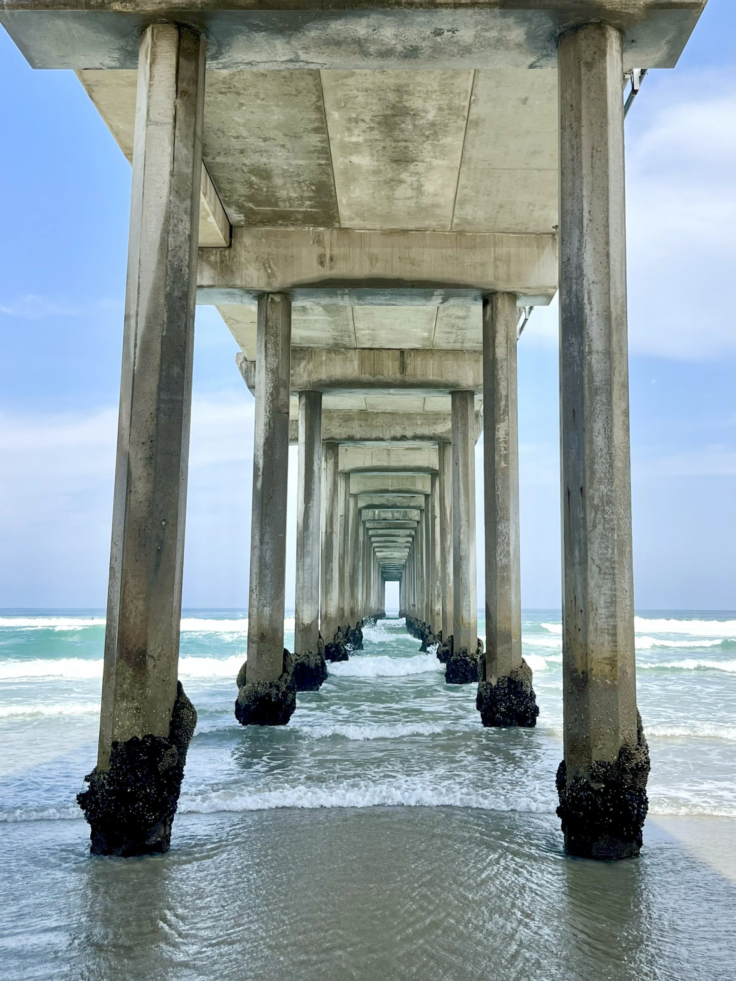 Scripp's Pier of La Jolla, San Diego