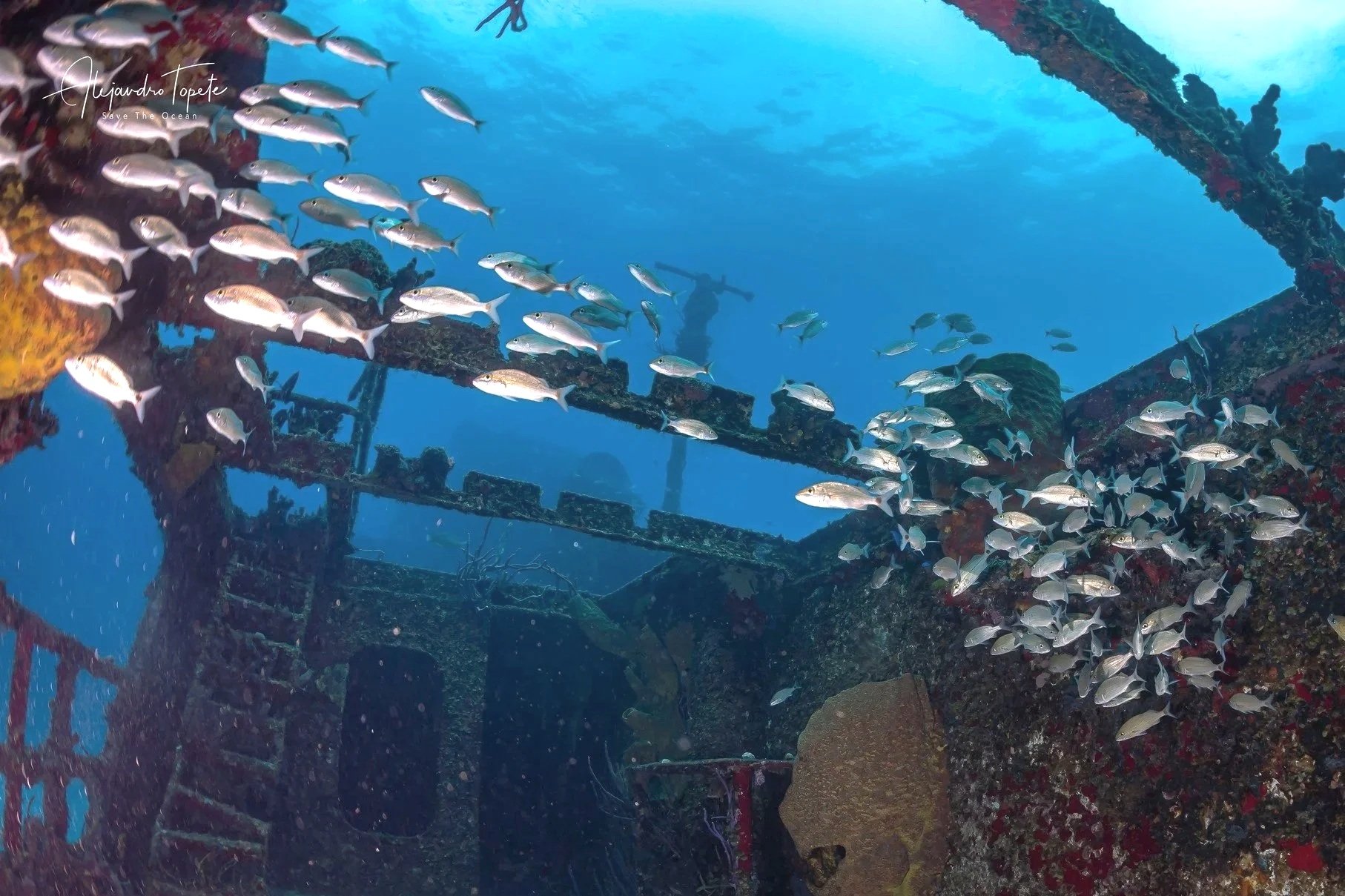 Shipwreck of Cozumel, Mexico by Alejandro Topete
