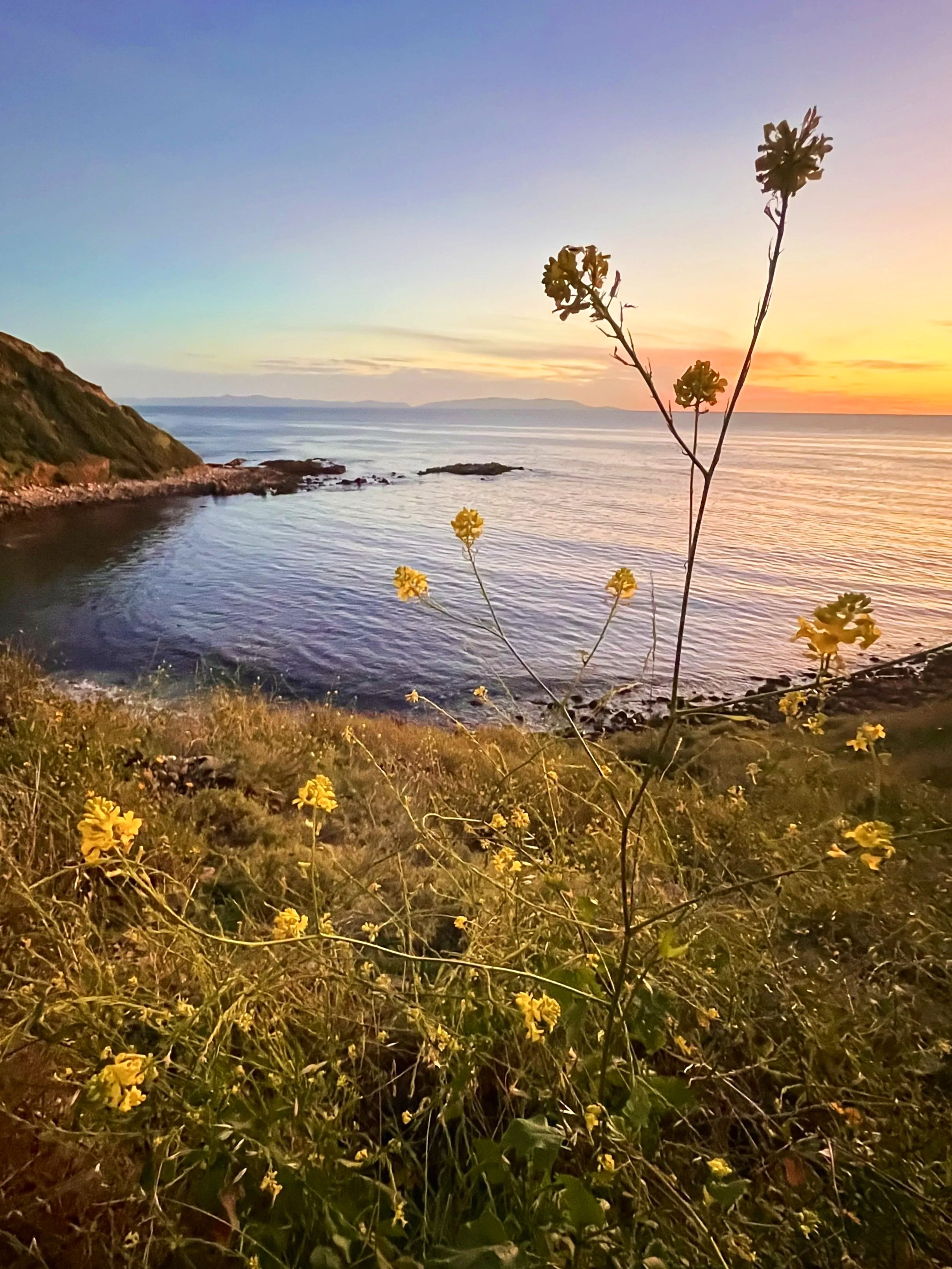 Palos Verdes Cliffs Sunset, Christmas Tree Cove