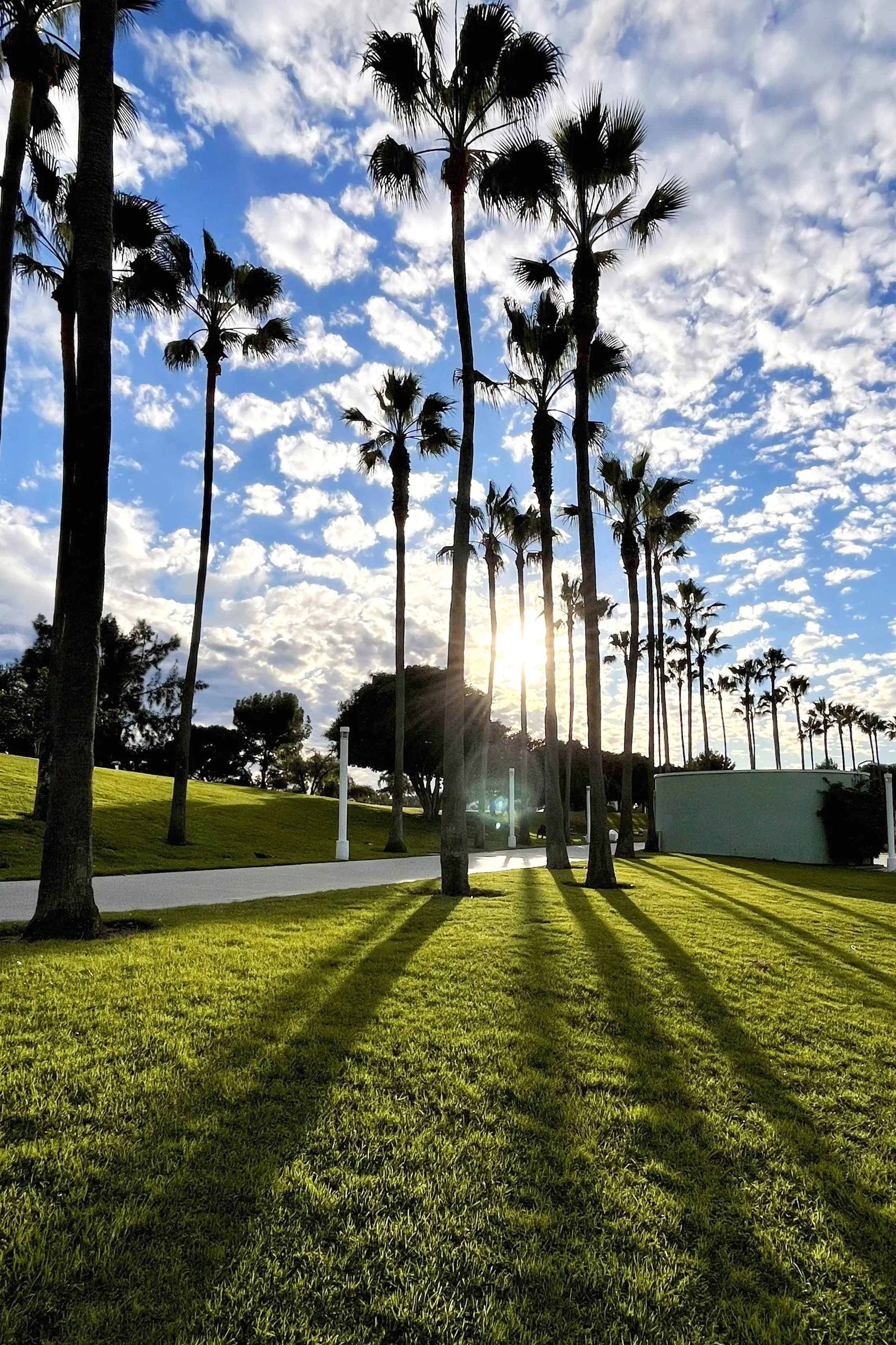 Sunset at Shoreline Aquatic Park, Long Beach