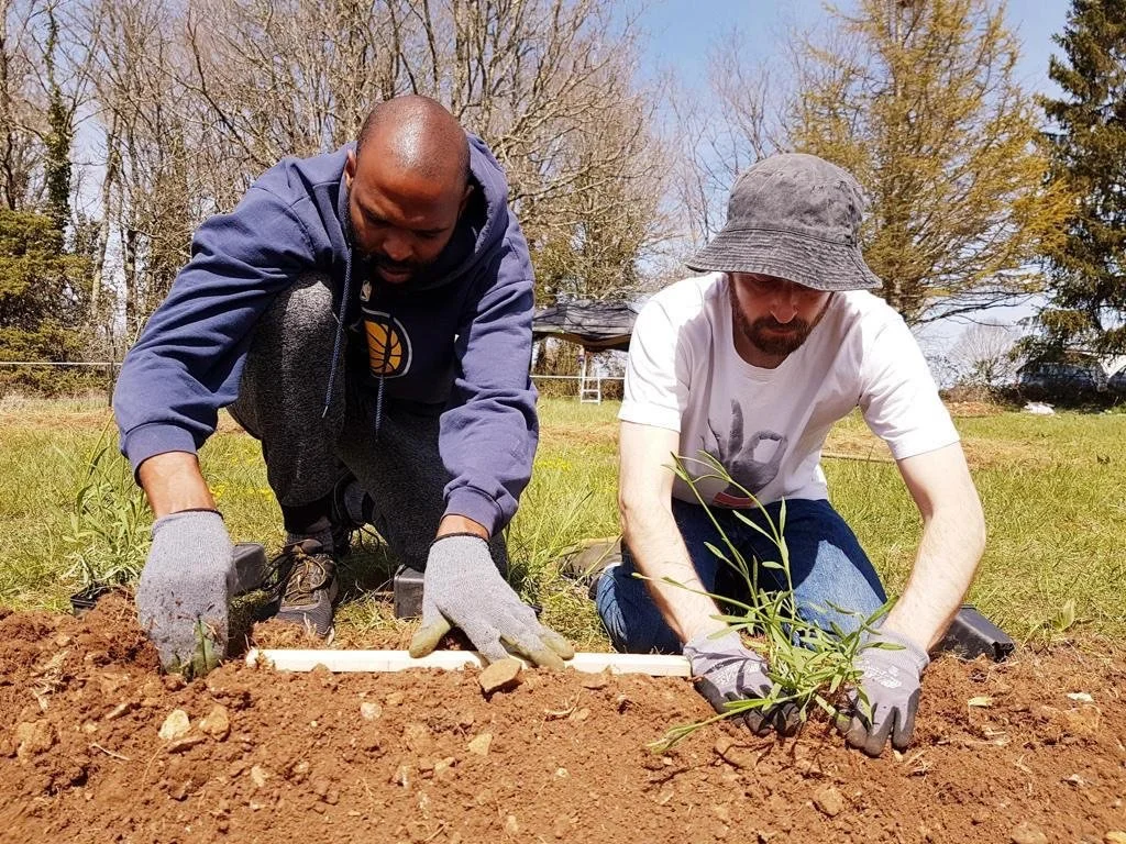 Darryl gardening.jpeg