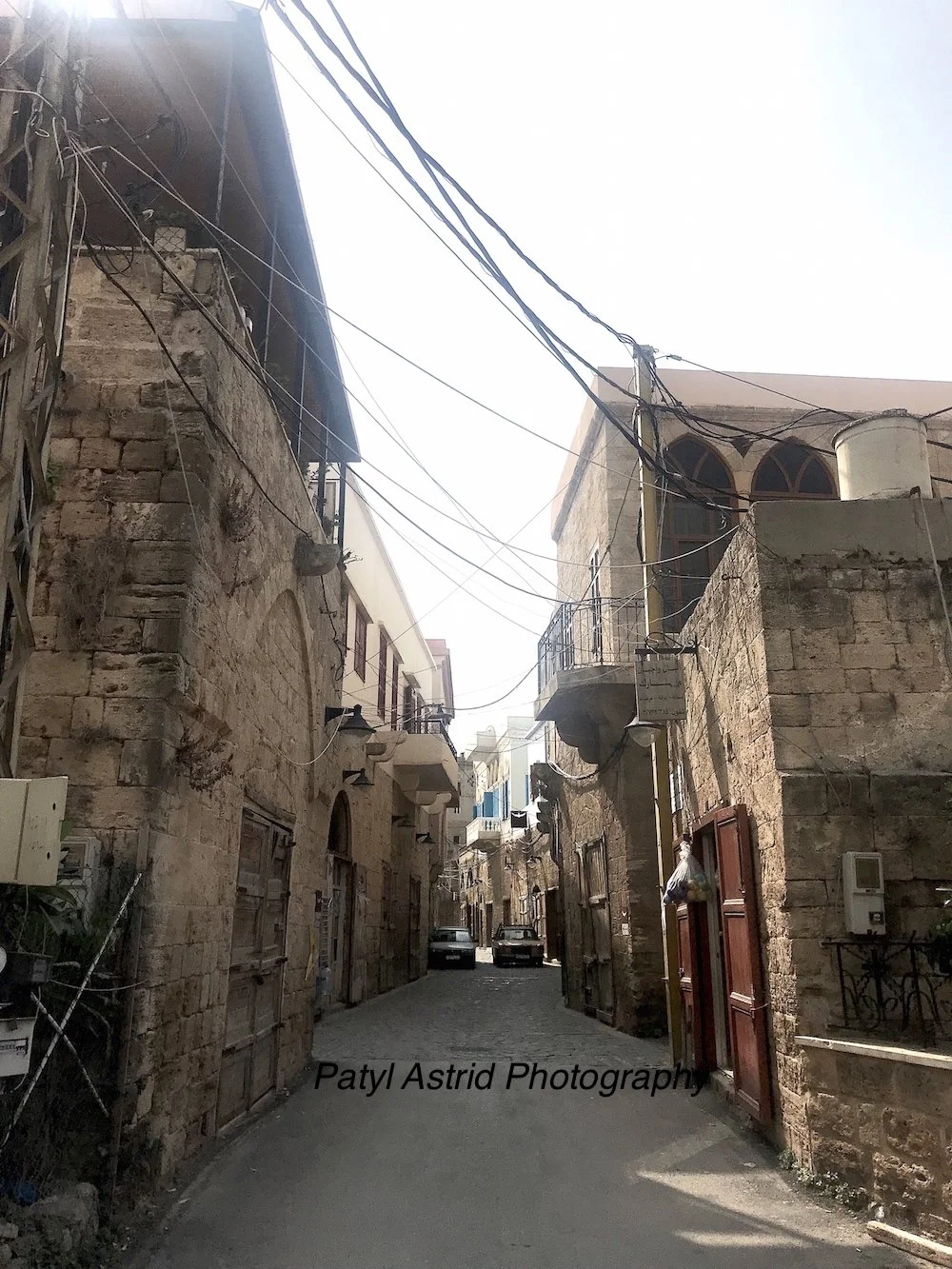 Concrete Jungle 6 copy.jpg