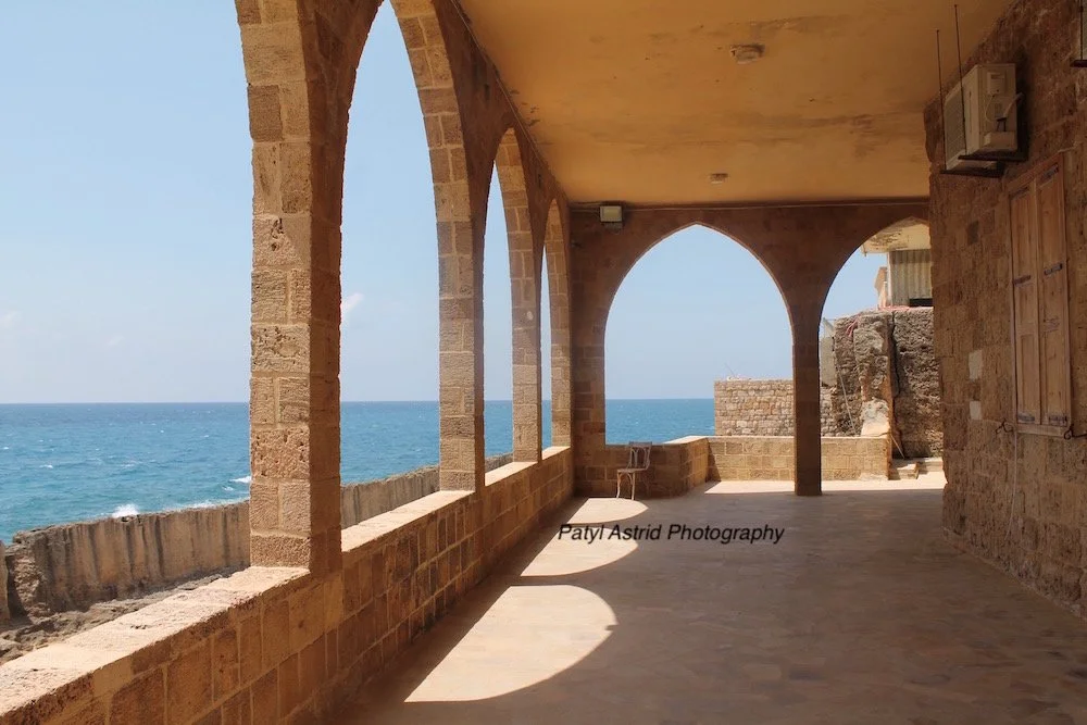 Concrete Jungle 14 copy.jpg