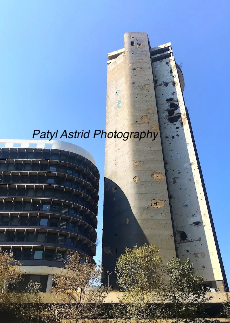 Concrete Jungle 3 copy.jpg