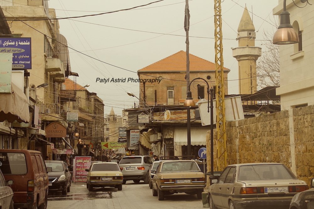 Concrete Jungle 1 copy.jpg