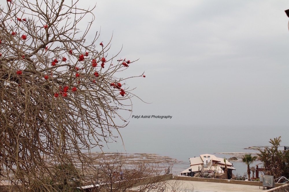 Blue Escape 1 copy.jpg