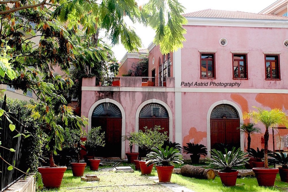 Concrete Jungle 10 copy.jpg