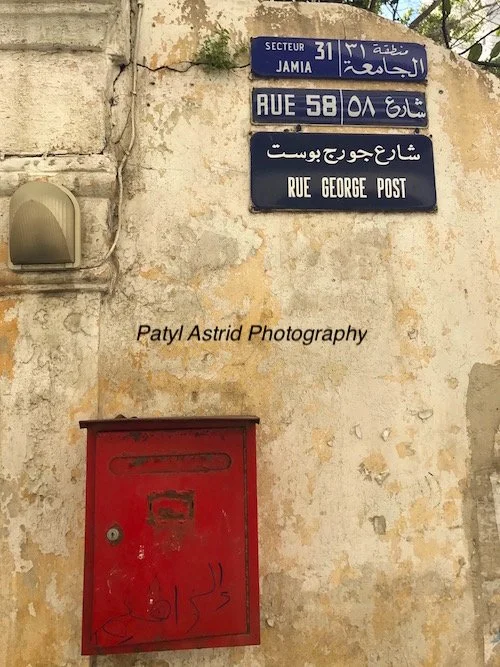 Random Chaos 4 copy.jpg