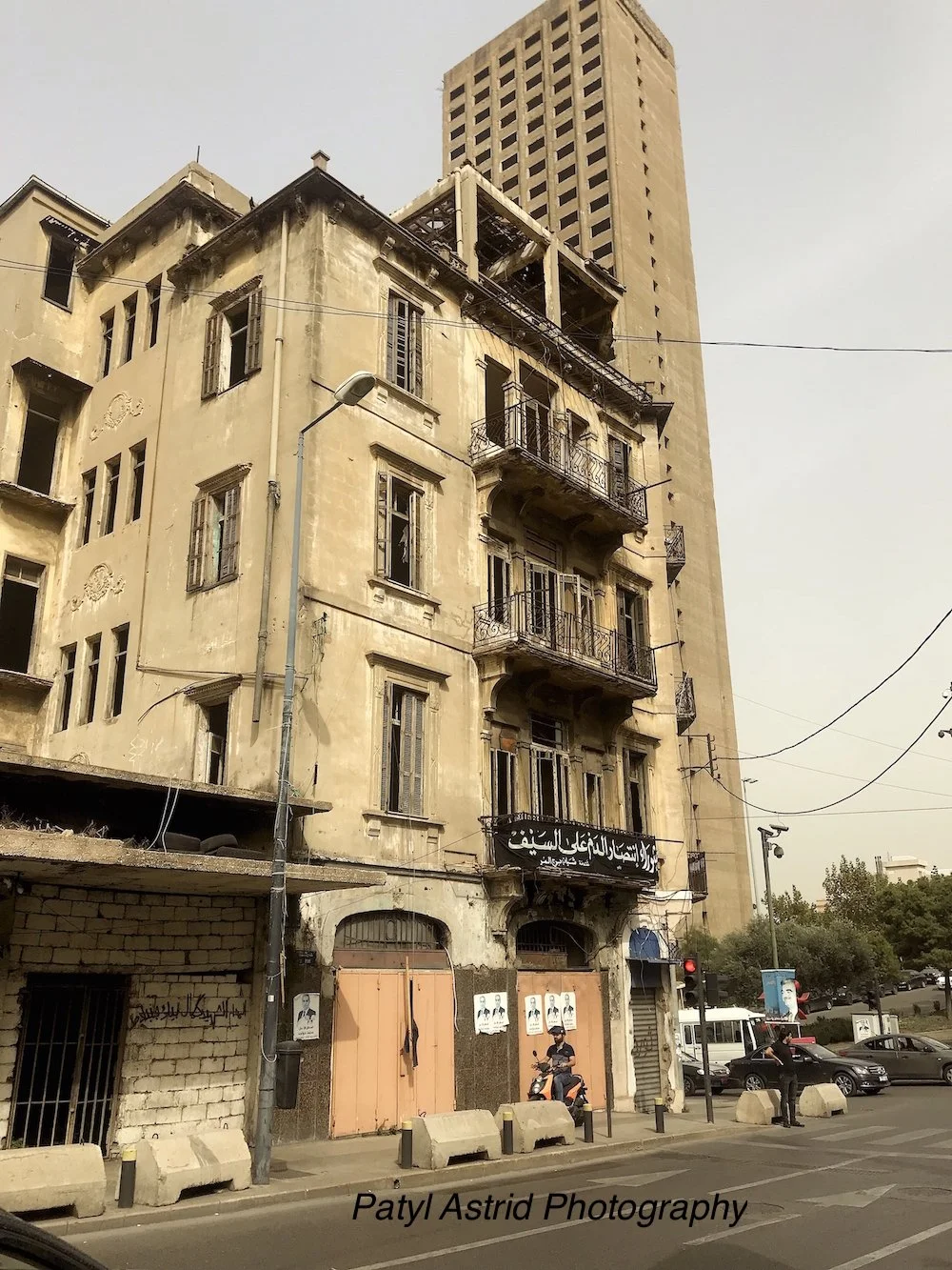 Concrete Jungle 5 copy.jpg