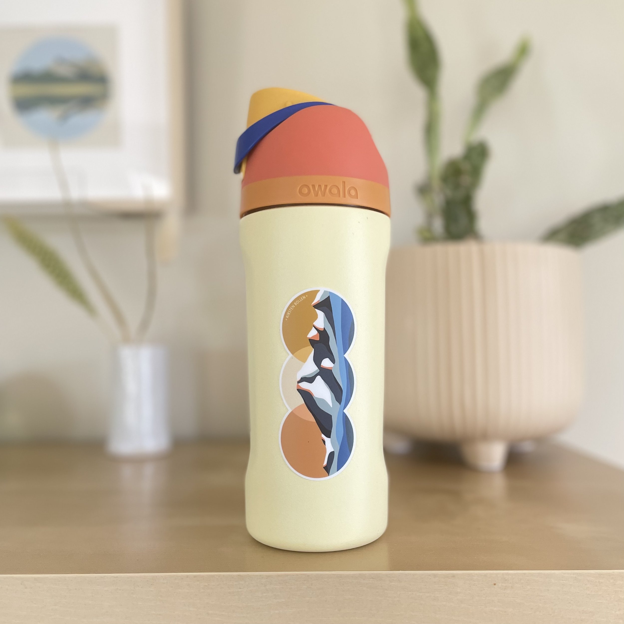 MountBakerWaterbottle.jpeg