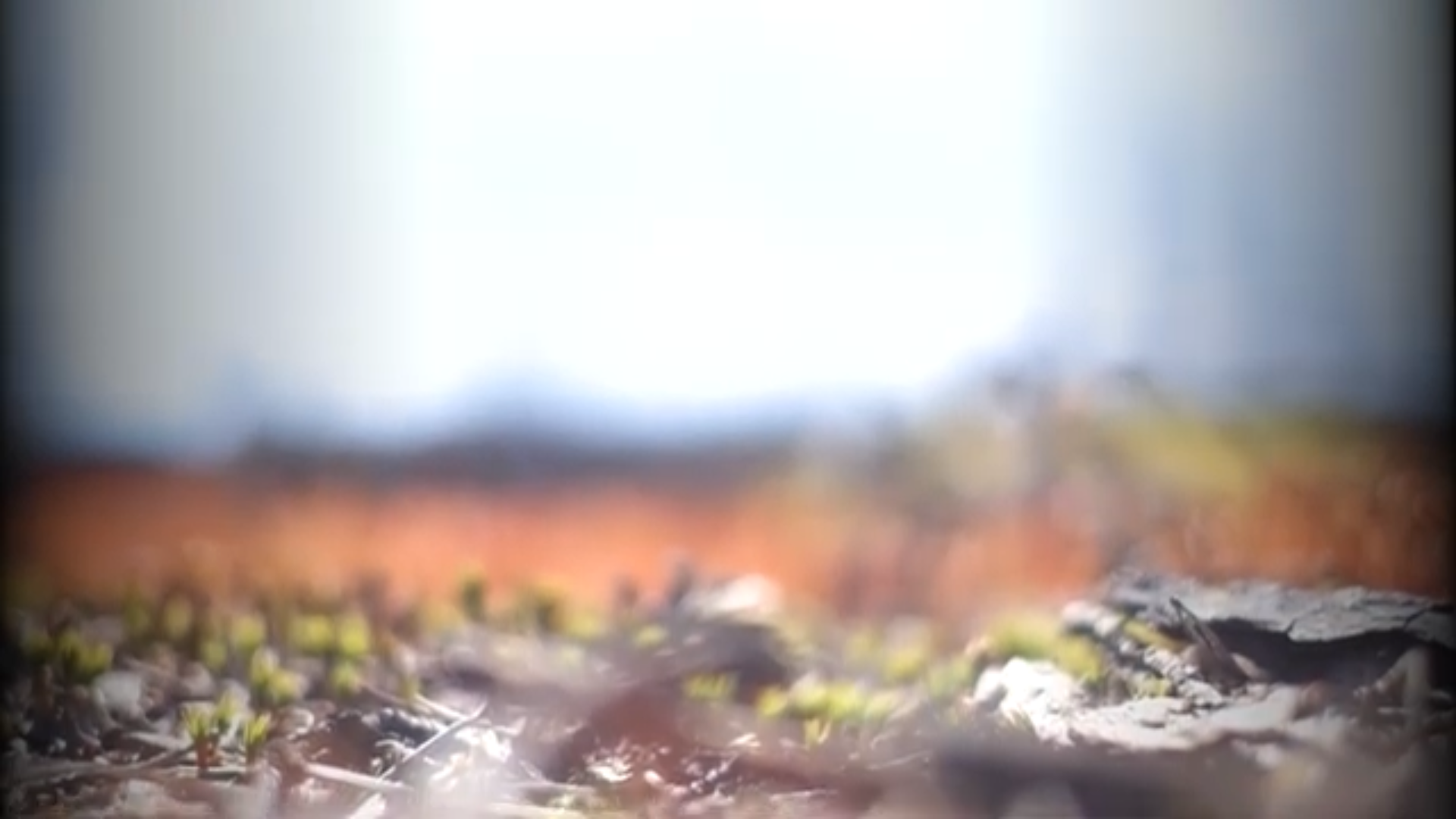 Skärmavbild 2025-11-14 kl. 19.27.16.png