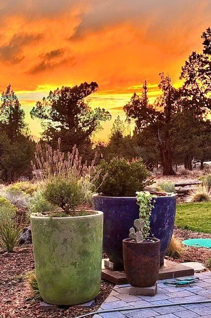 2026_PIW_Landscape_HM_Jodie_Mooney_3.jpg