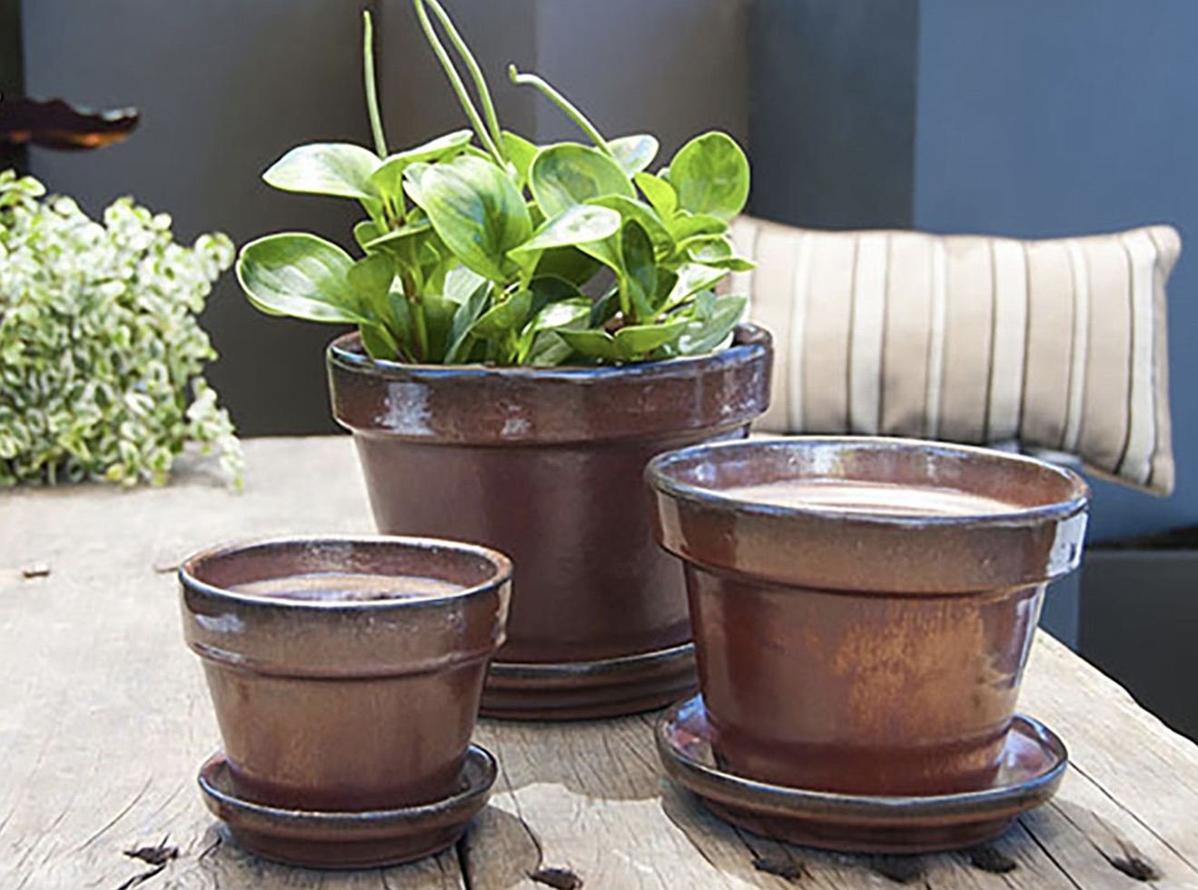 Gallery - Indoor Pottery - Verandah - 009_q79.jpg