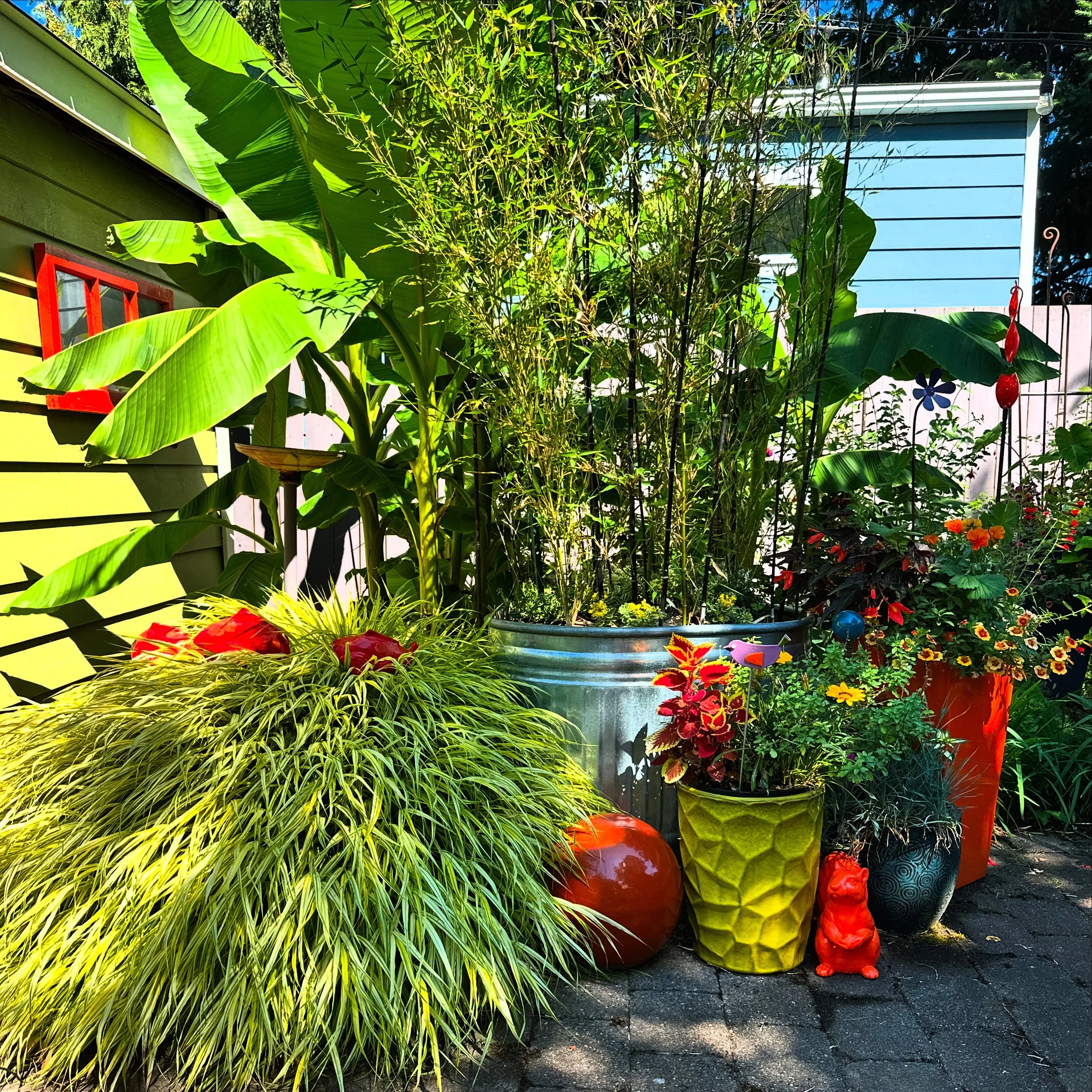  Third Prize &middot; 2025  Jeff Fisher  At Fishingham Gardens. We have visited these wonderful gardens on our trips to Portland and are touched that Jeff shopped here at Pottery House. That chartreuse pot with the orange and Japanese forest grass is