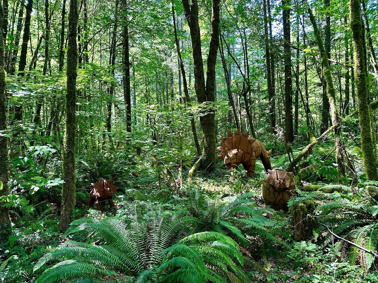 First Prize &middot; 2026  Barbara Kenny  Barbara Kenny captured the Jurassic Park scene she created in her old growth forest with our steel dinosaurs! Big mama Triceratops stands protectively next to her baby and a newly hatched little one just bre