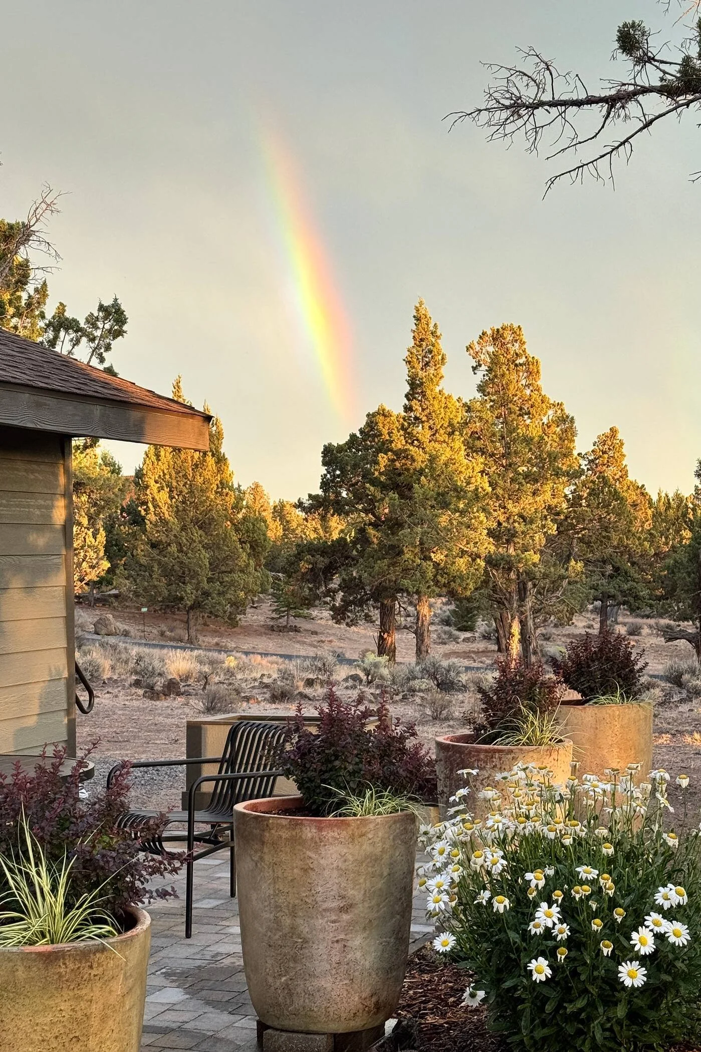  Second Prize &middot; 2026  Jodie Mooney  Jodie Mooney's photo featuring 4 of our large, Heirloom White barrel planters shows how well they complement our high desert surroundings. Using dark, blood-red shrubs and light-green variegated plantings, J