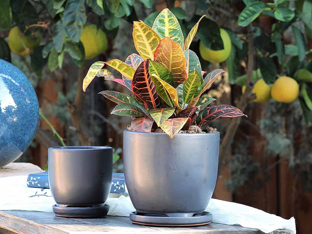 Gallery - Indoor Pottery - Verandah - 013_q85.jpg