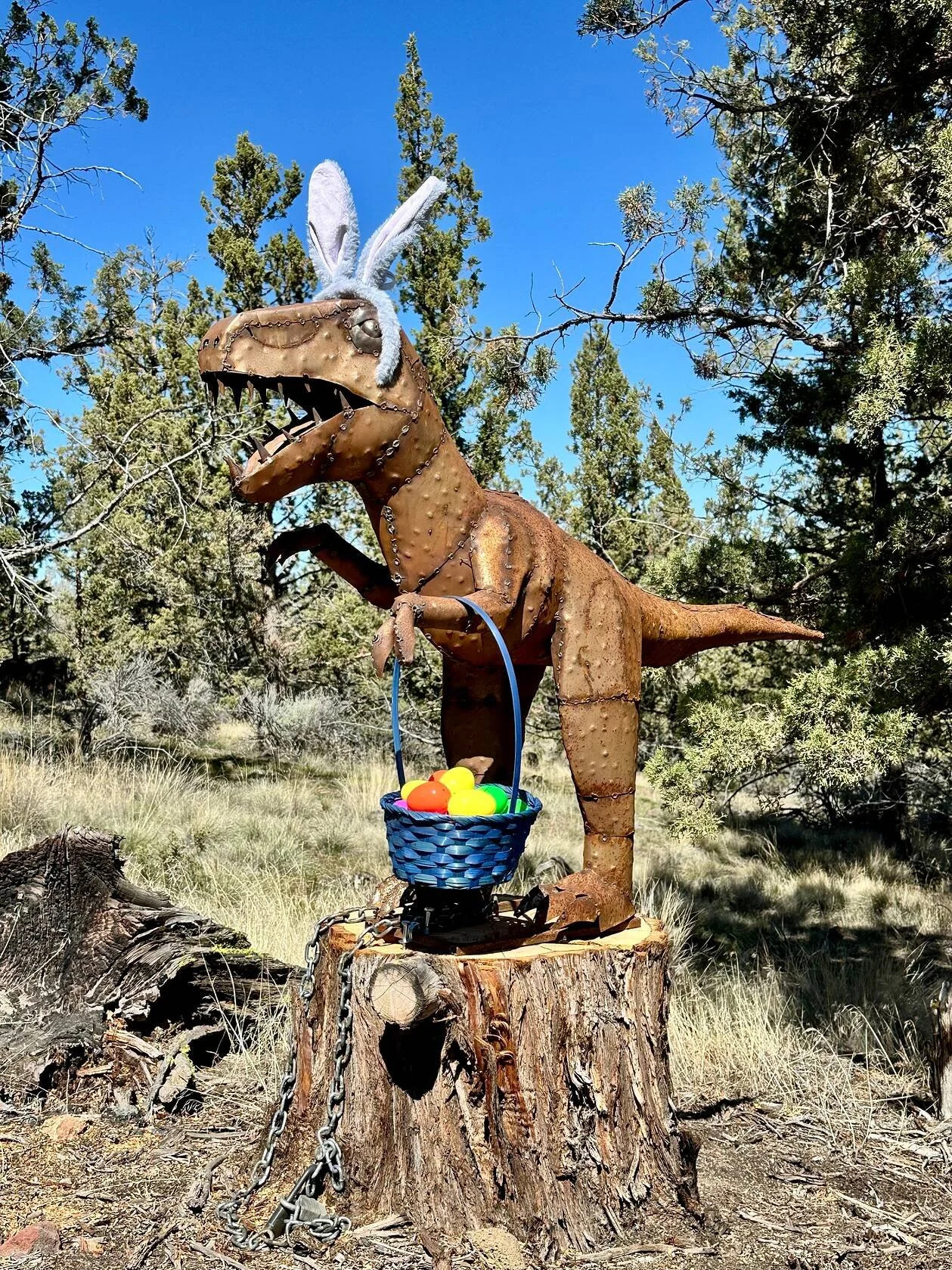  Third Prize &middot; 2026  Don Sloan  Don Sloan's Easter Rex is just hilarious! What an awesome way to dress up a tree stump, Don! Great Shot :) 
