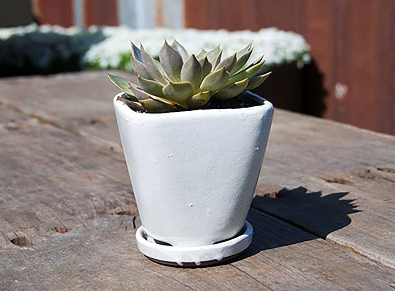 Gallery - Indoor Pottery - Verandah - 014_q84.jpg