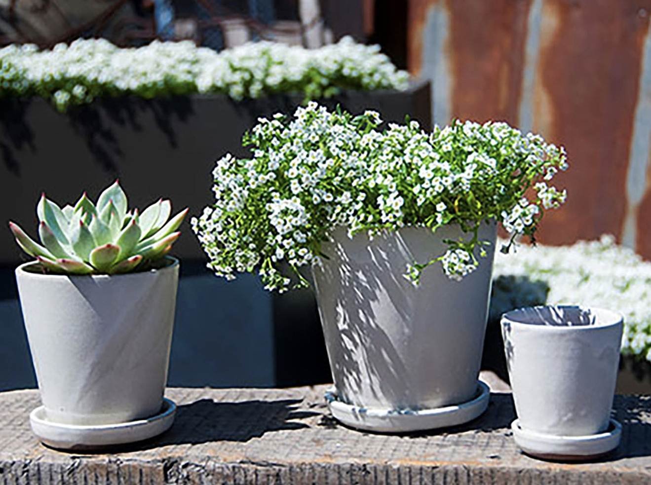 Gallery - Indoor Pottery - Verandah - 006_q69.jpg
