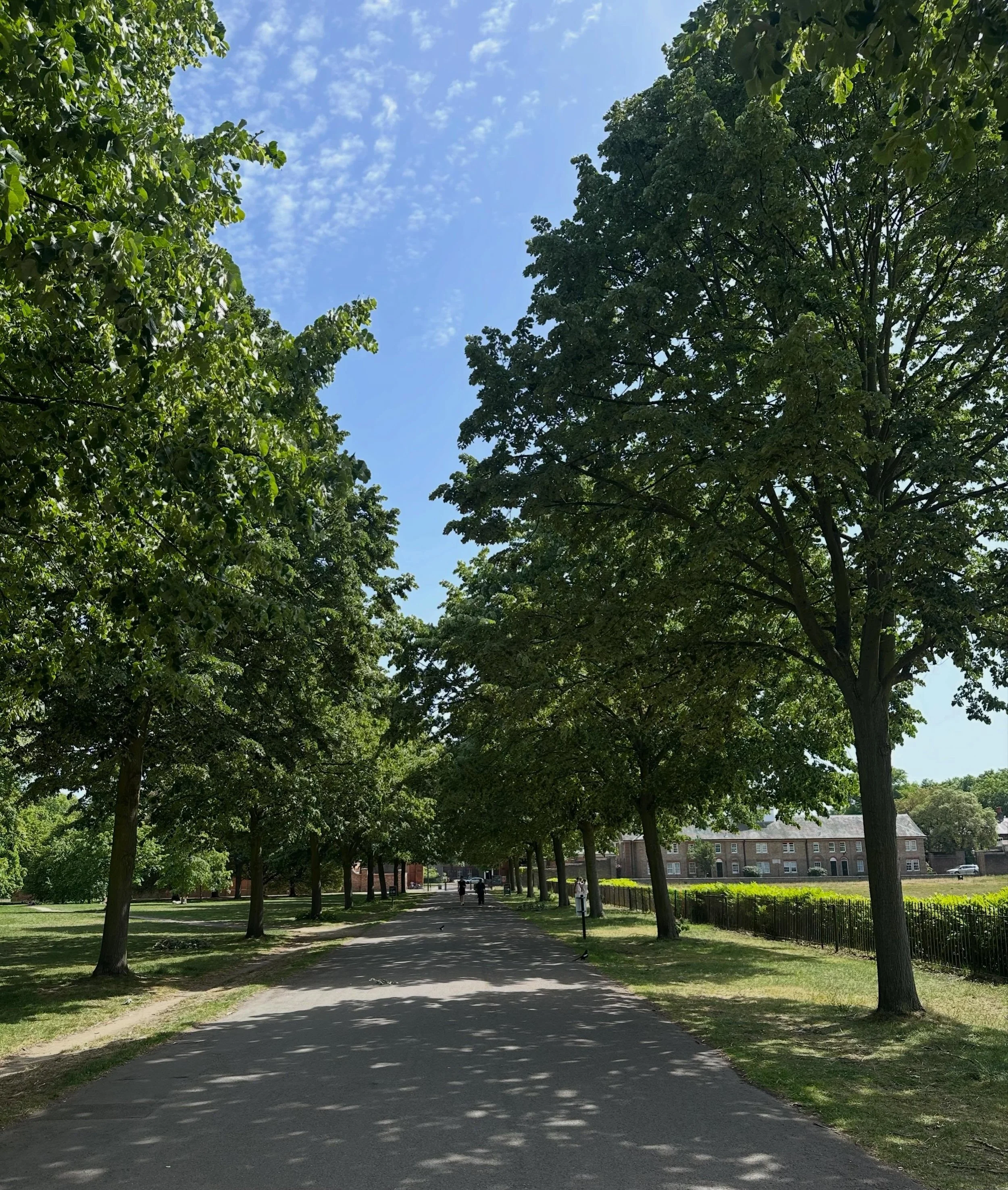 London in summer is quite lovely. 
Revisiting the streets and parks where I grew up! @chicks_hampshire