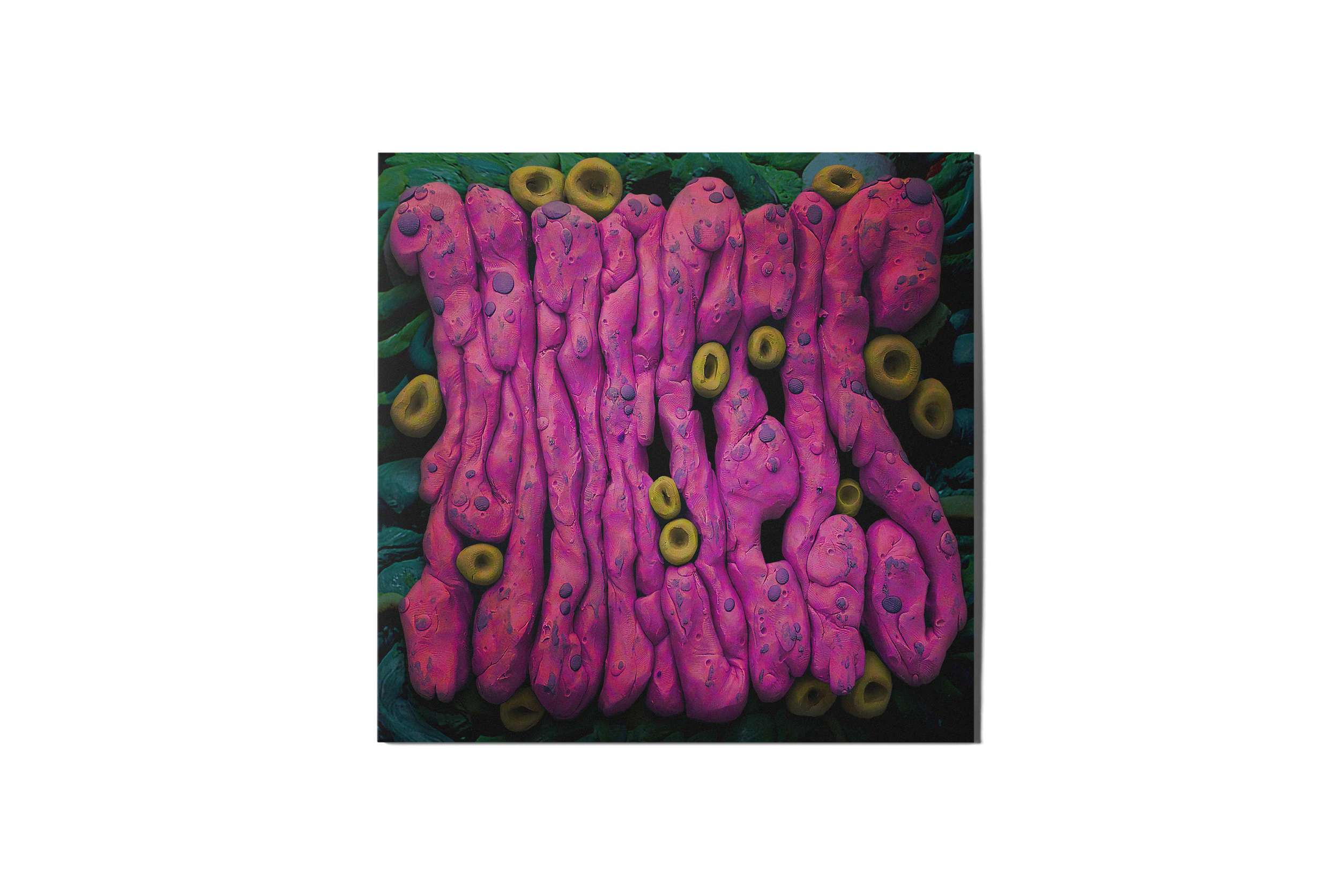 Morsels VInyl Front.png