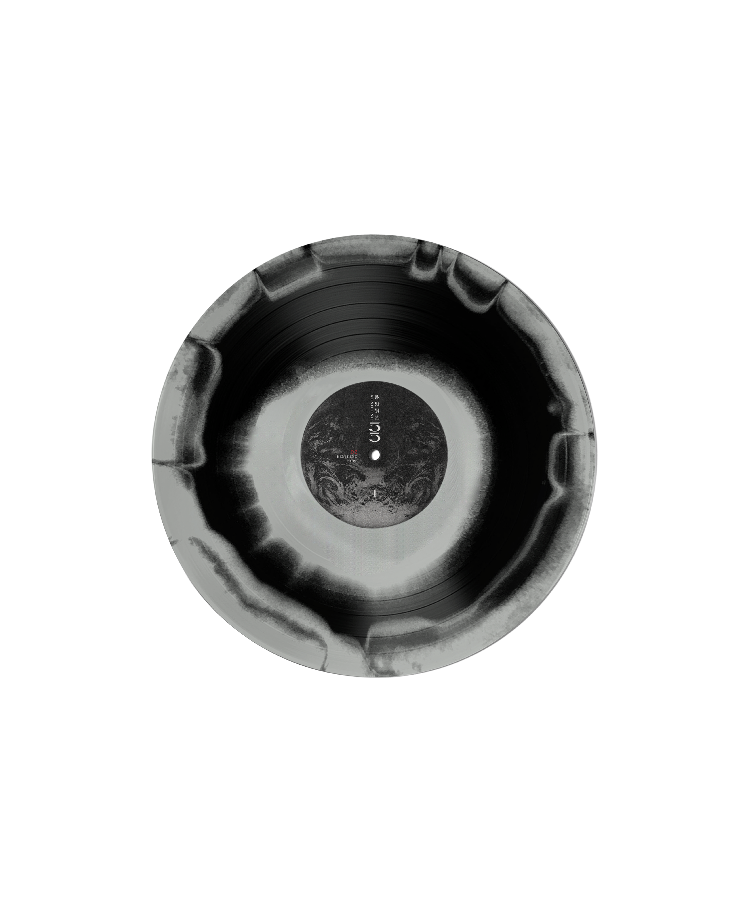 D2 Vinyl Assets21.png