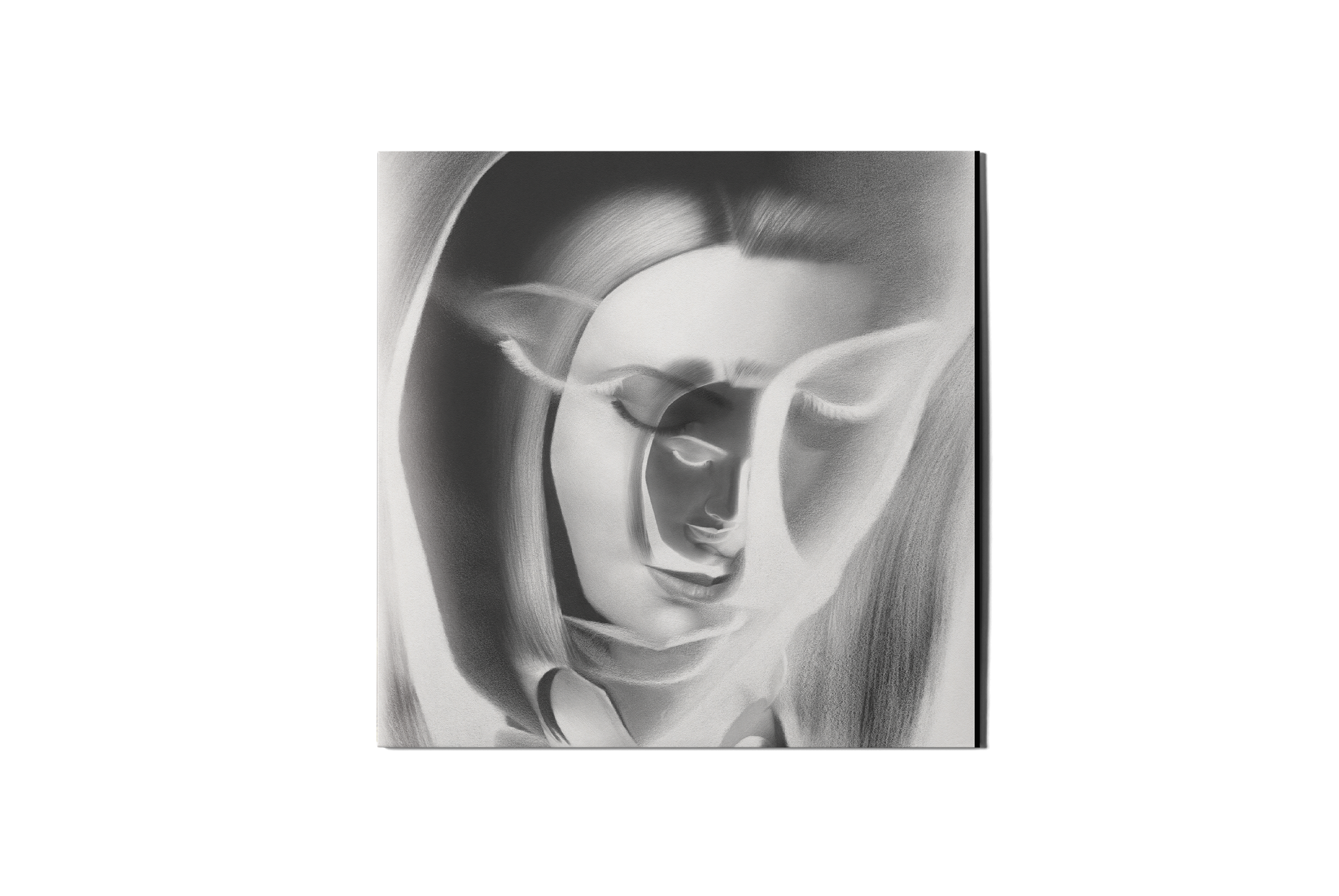 d2 box front flat RESIZED.png