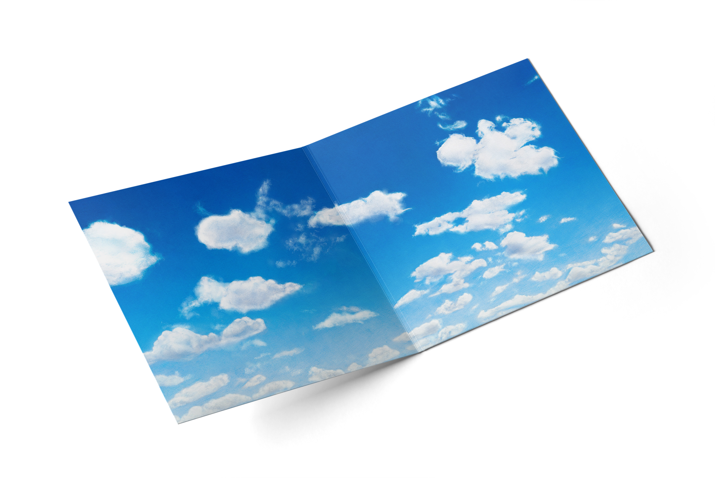 Copy of KAZE Inner Spread Angled.png