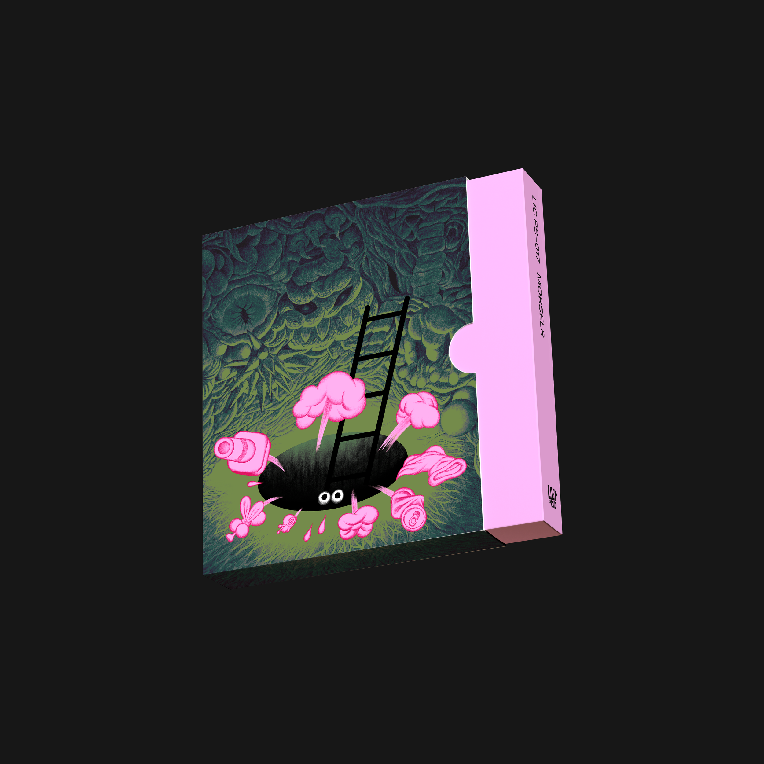 LIC_MORSELS_Slipcase copy.png