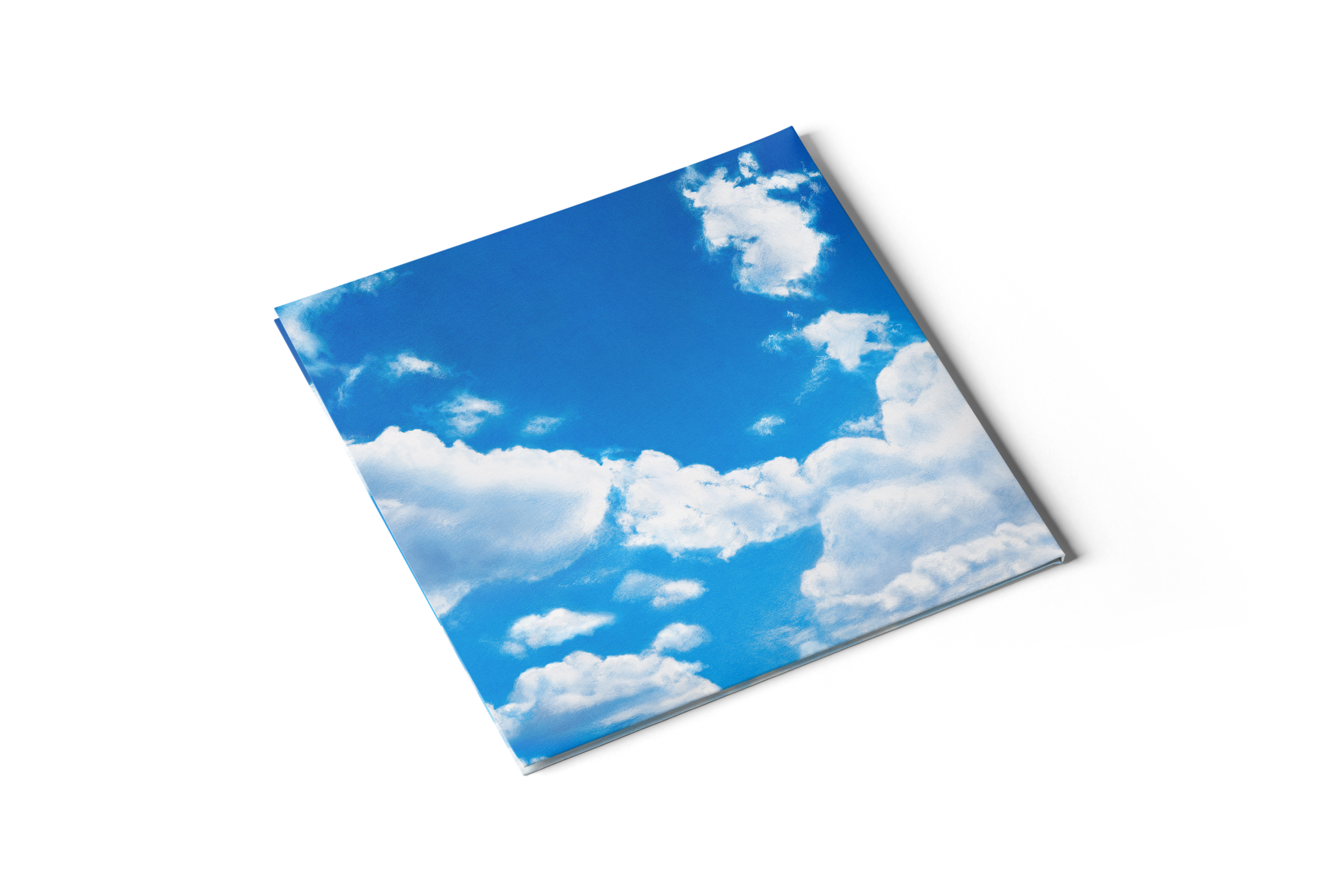 Copy of KAZE Back Angled.png