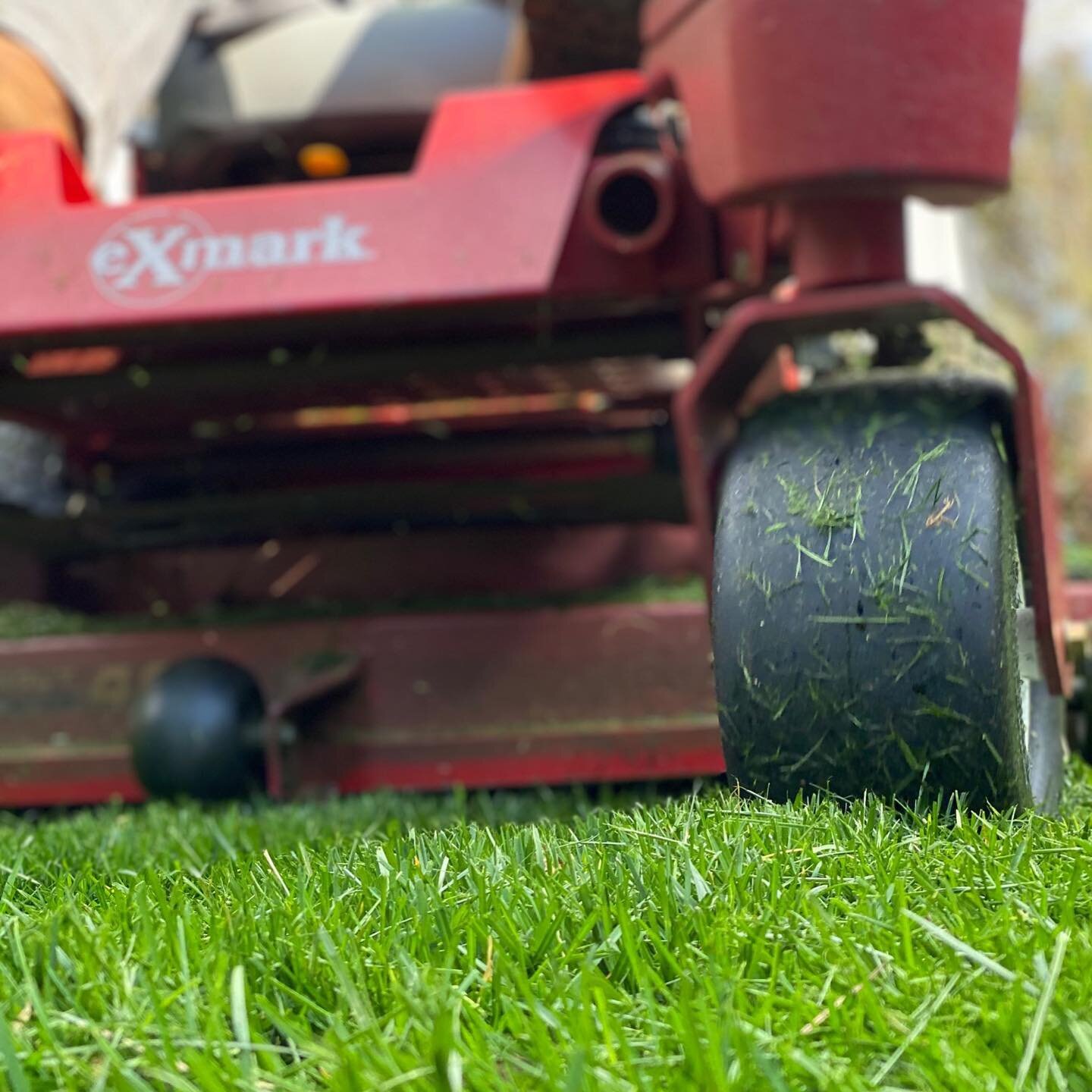 TURF MANAGEMENT:

Using professional equipment that is well serviced leaves a clean cut on the grass which promotes healthy growth!  Having the right equipment is key. @exmarkmowers is the equipment of choice for Five Forks Lawn Care