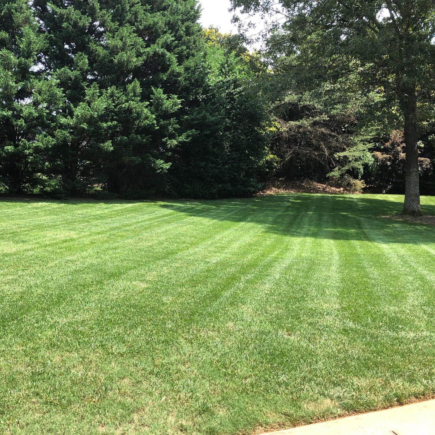 LAWN CARE:

We&rsquo;re starting to make our summer mowing routes! Peak growing season is just around the corner