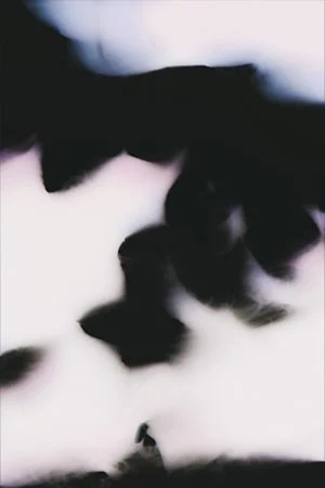 Obra de arte: Los sueños de Beatriz