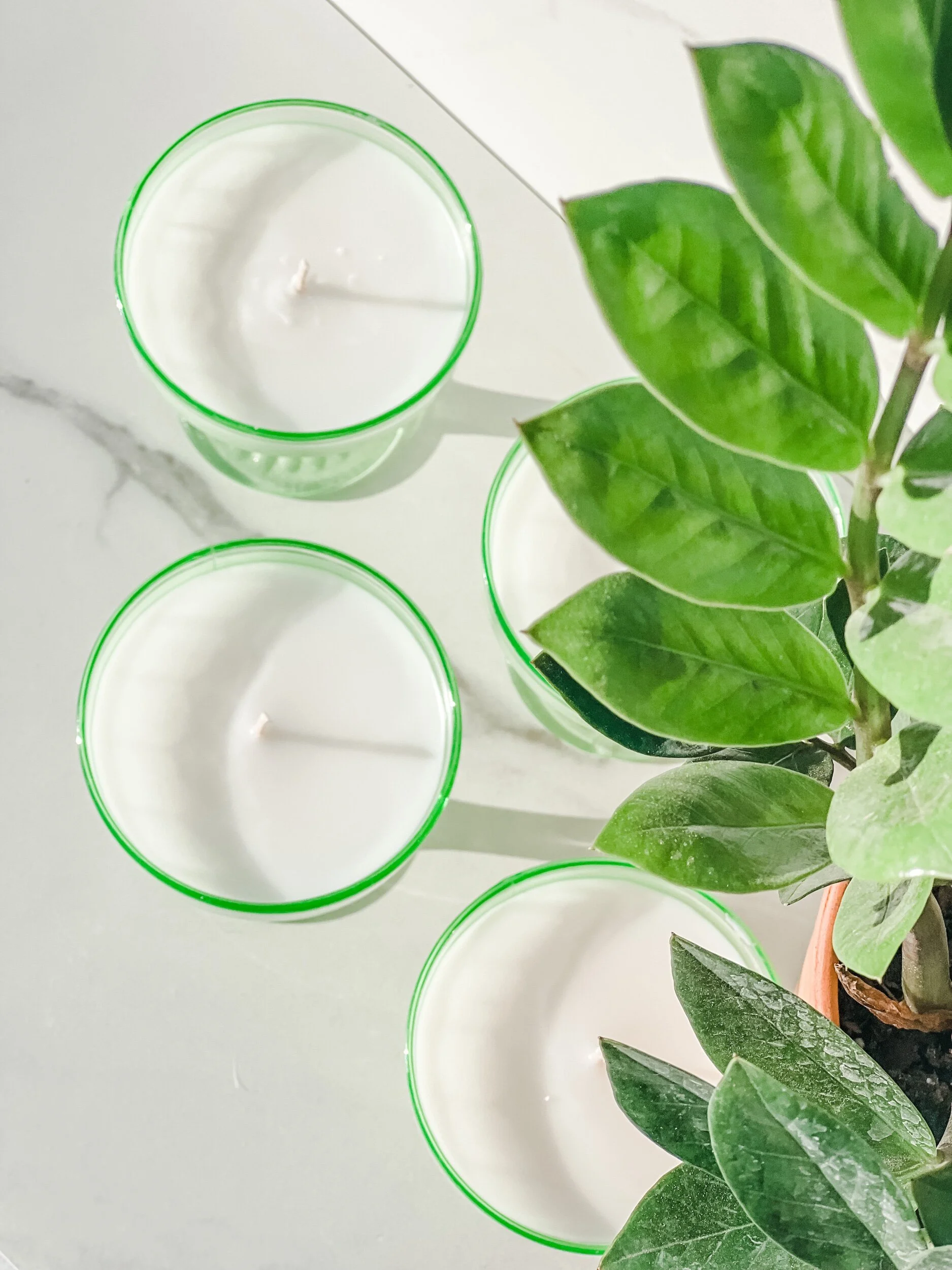 3DBC98C1-4A3F-487F-BE7D-8408F77EE7B9