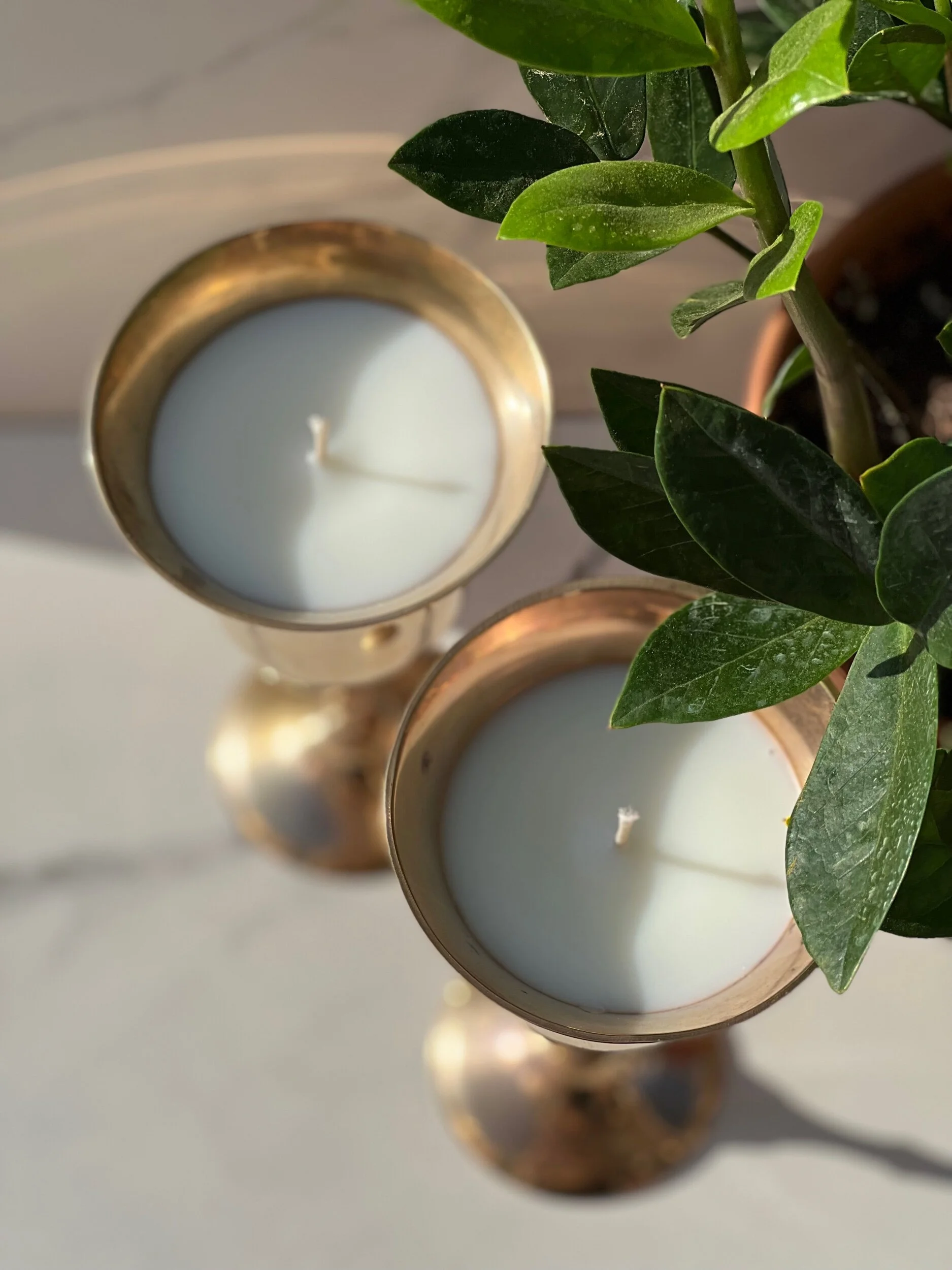 947F1104-18F8-406B-8B0D-7DAF7D288CE5