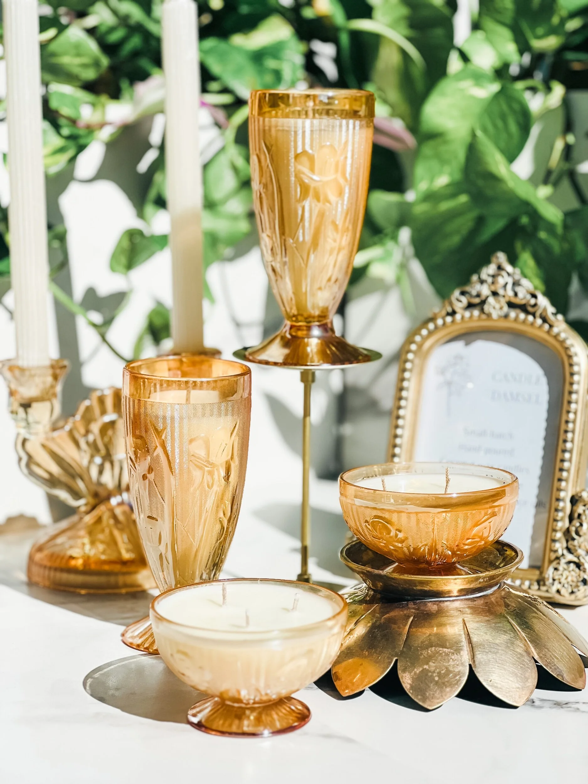 C3116E1B-4D05-4D09-94B9-384541516CE2