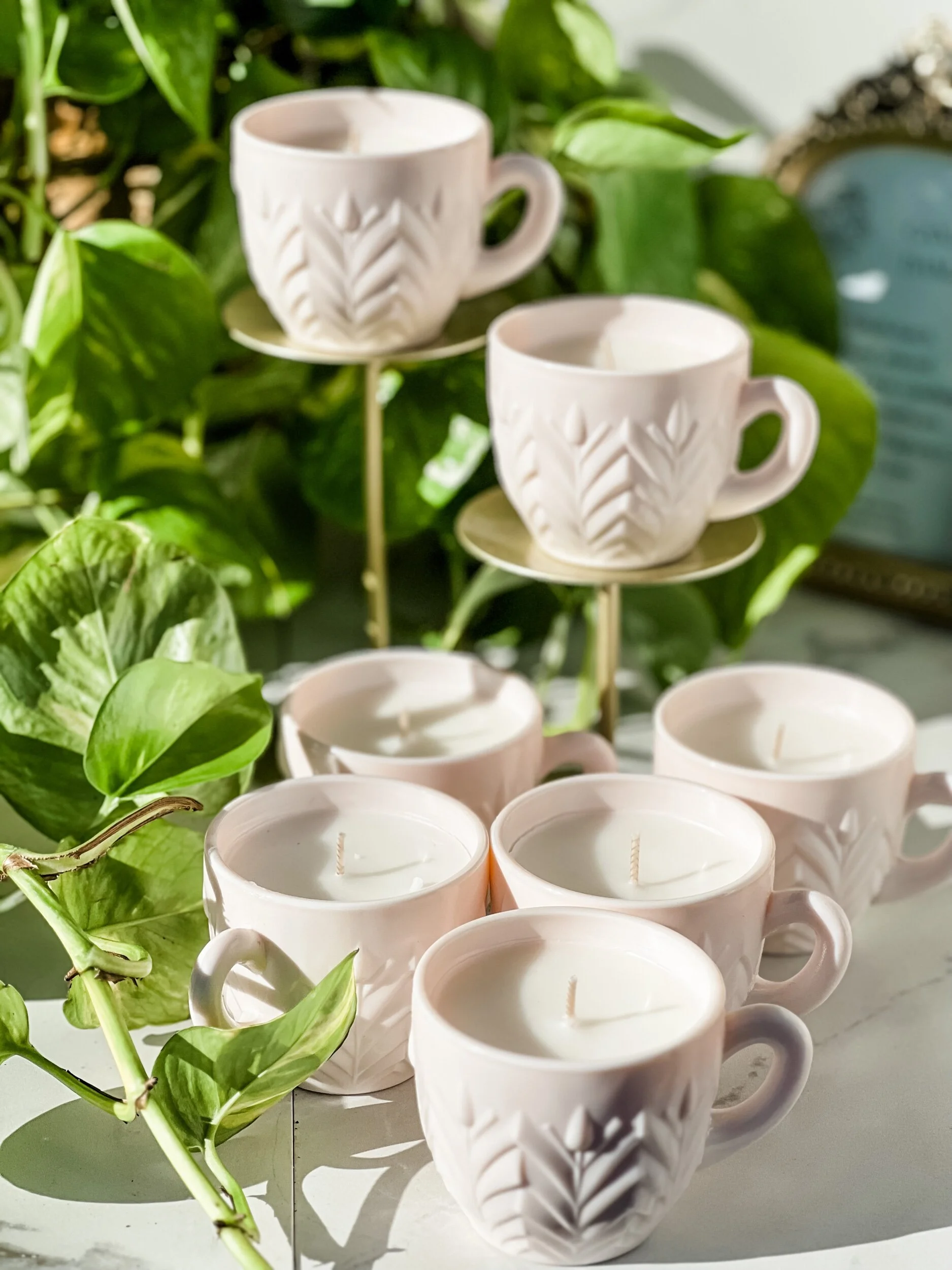 844FEDF4-5FF9-4753-8846-1338C3D5A851