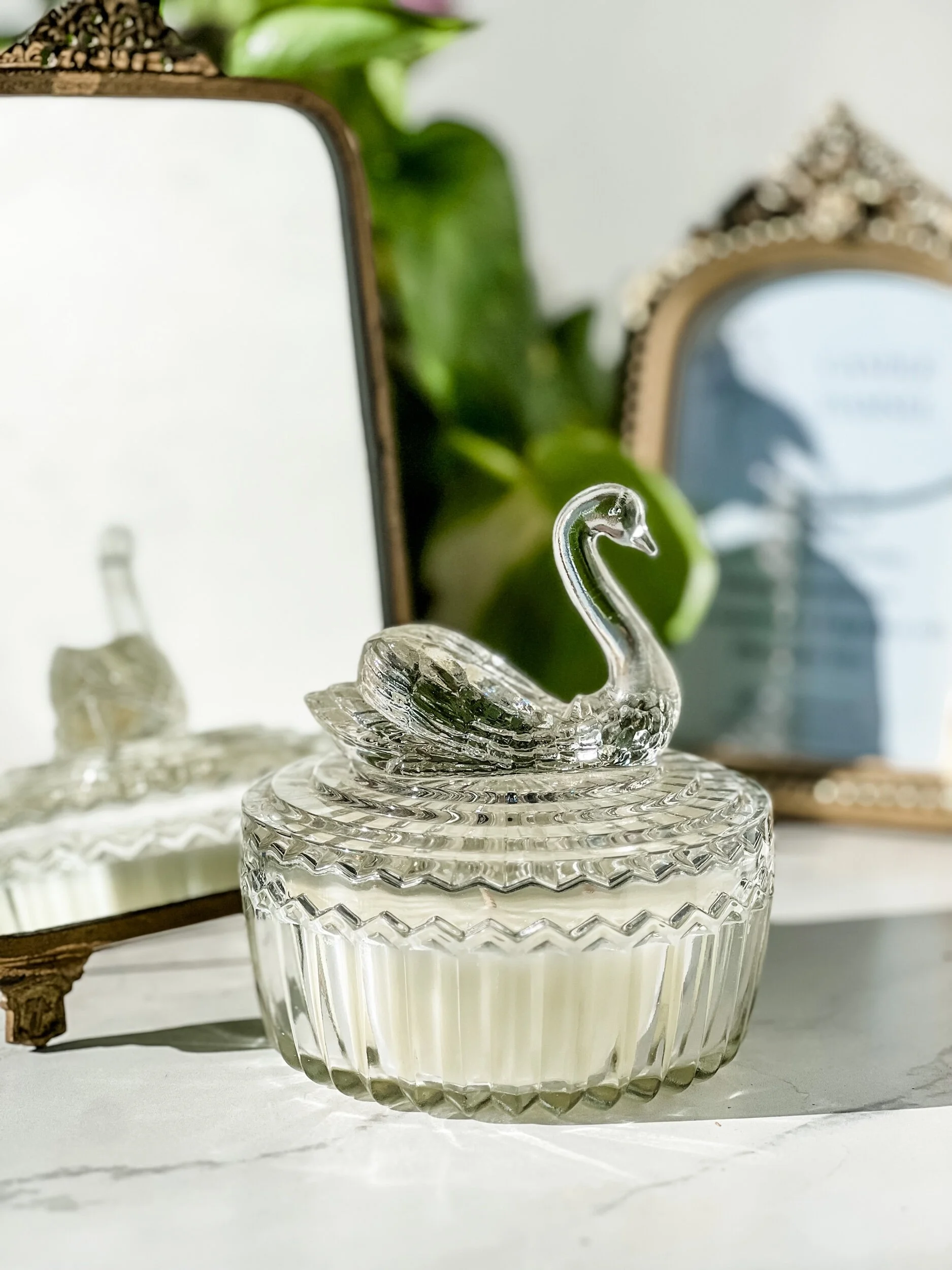 C3456AED-B7CC-487A-8F13-A76CE07D6A9D