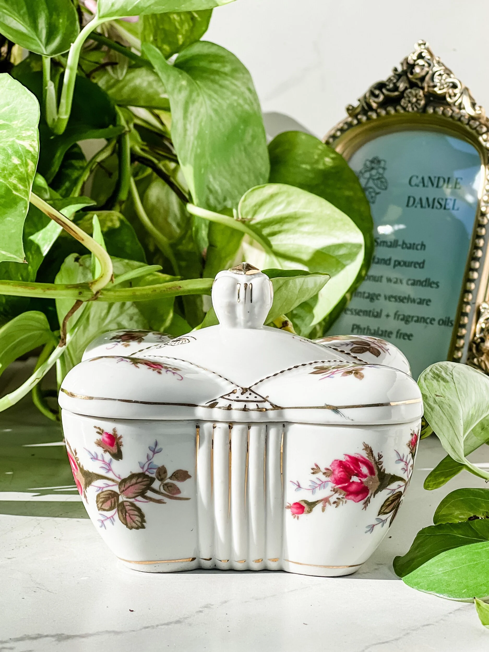 8A54F608-14EA-4889-A4D1-651A2DDB7C4F