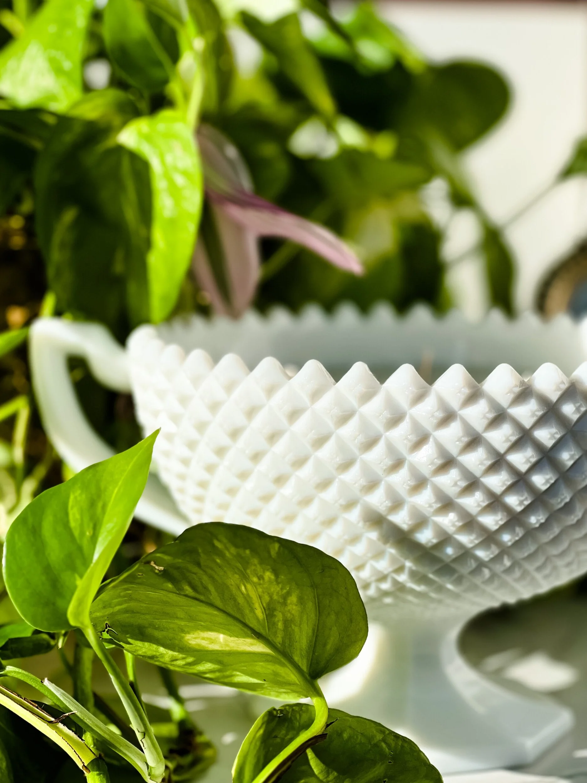 4837C28F-5147-48C4-A840-C6EF6B8D2260