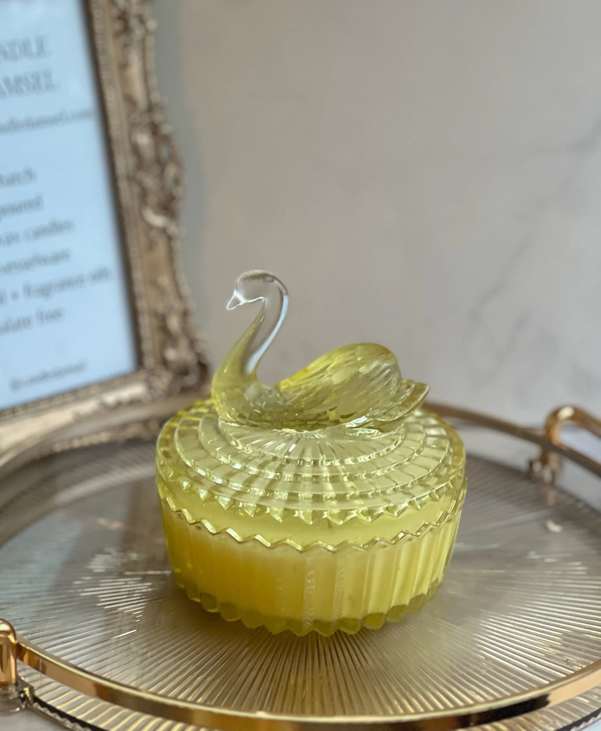 45065989-A3EA-480D-932A-FEC9BCE23165