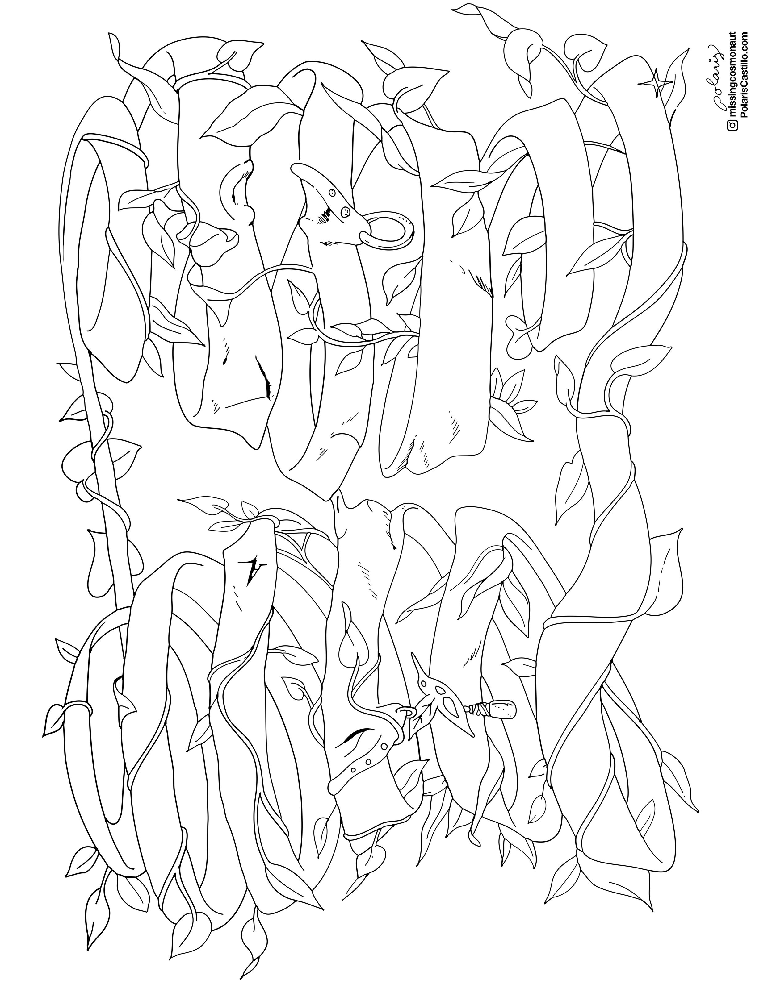 Plant Daddies.jpg