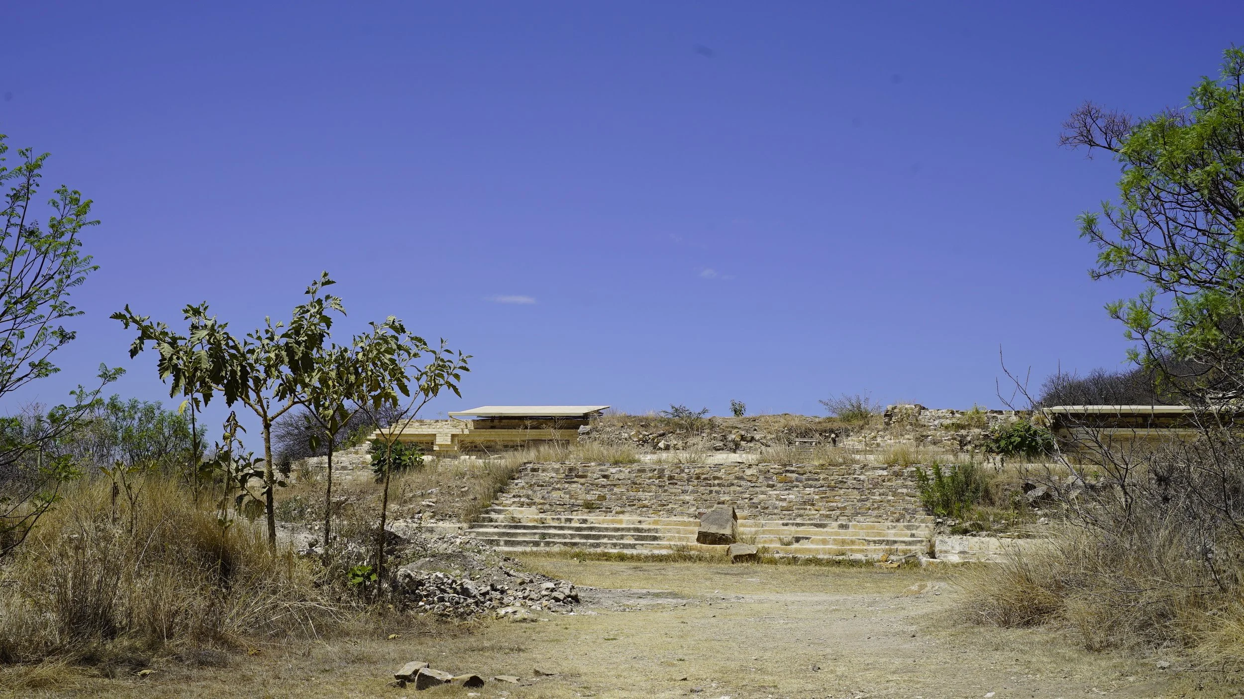 _DSC9732.JPG
