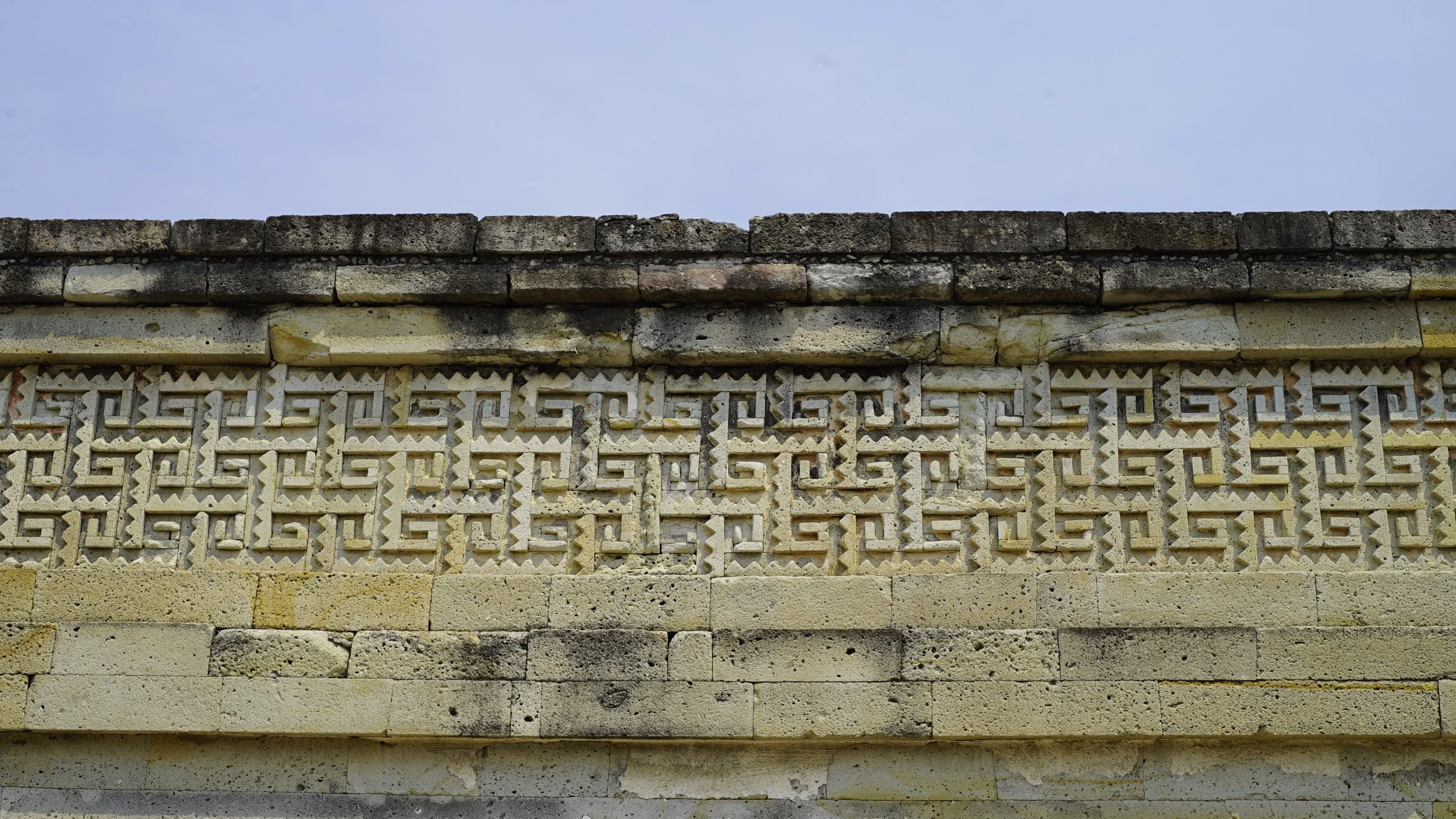 _DSC9695.JPG