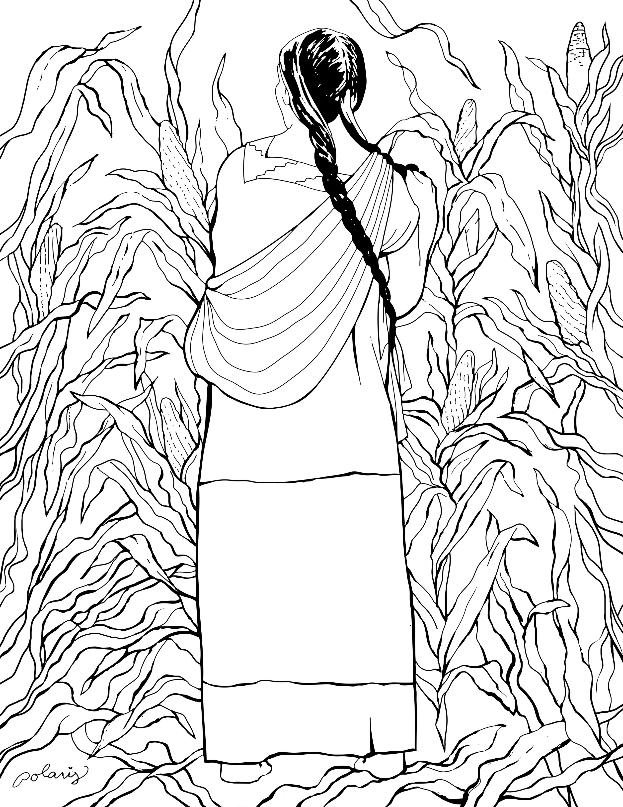 Corn and Braids.jpg